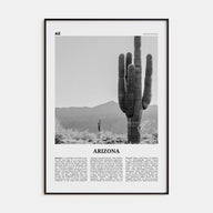 Arizona Travel B&W No 1 Poster
