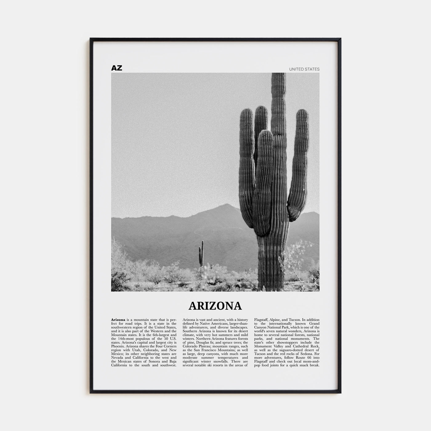 Arizona Travel B&W No 1 Poster