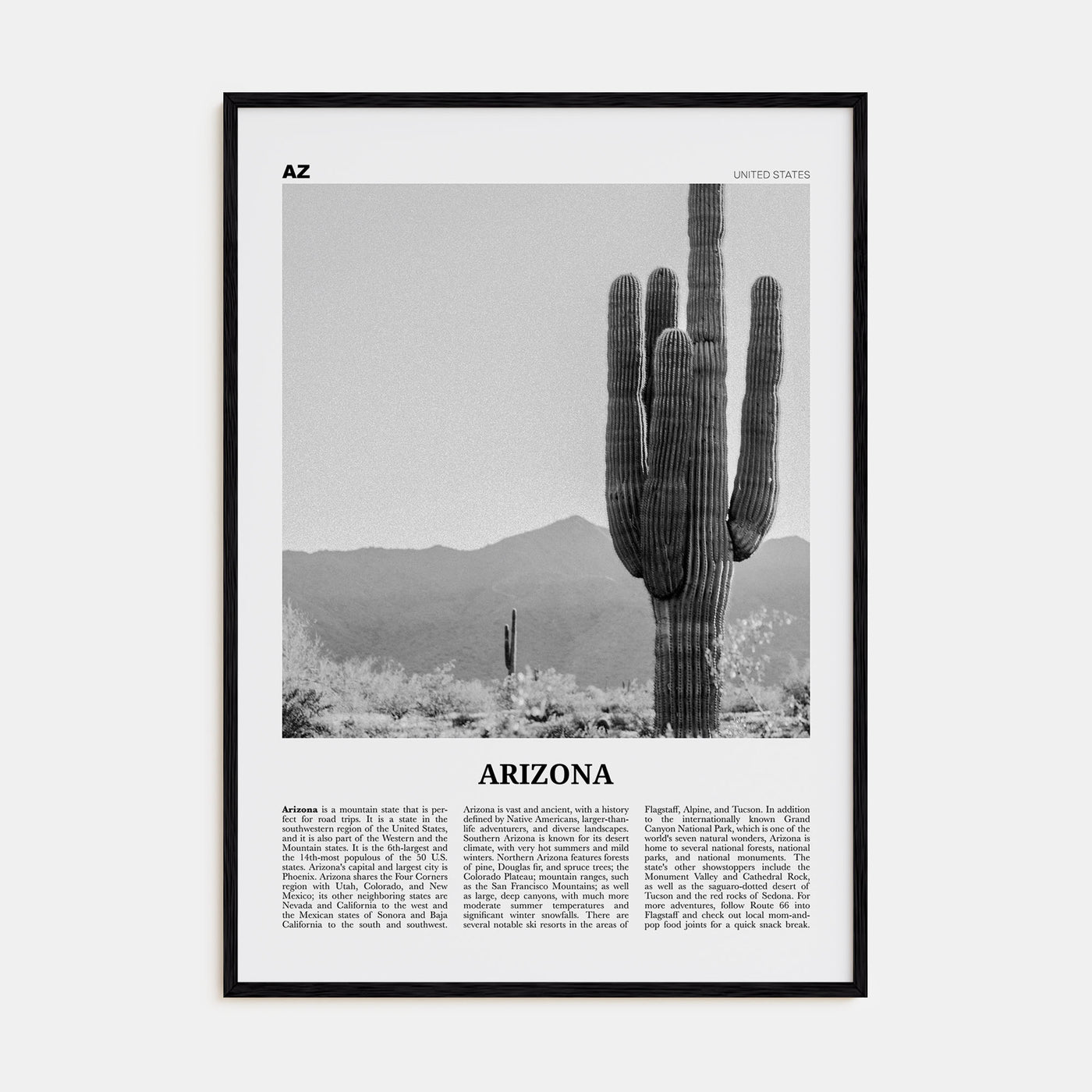 Arizona Travel B&W No 1 Poster