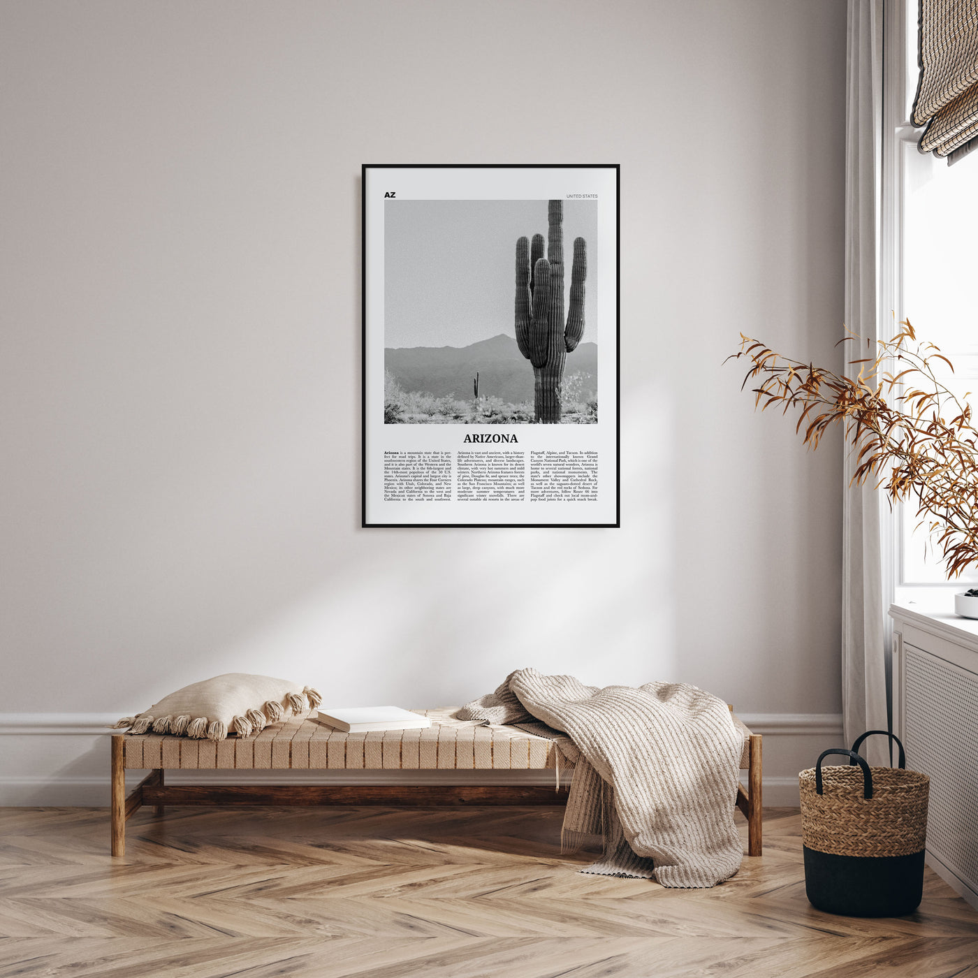 Arizona Travel B&W No 1 Poster