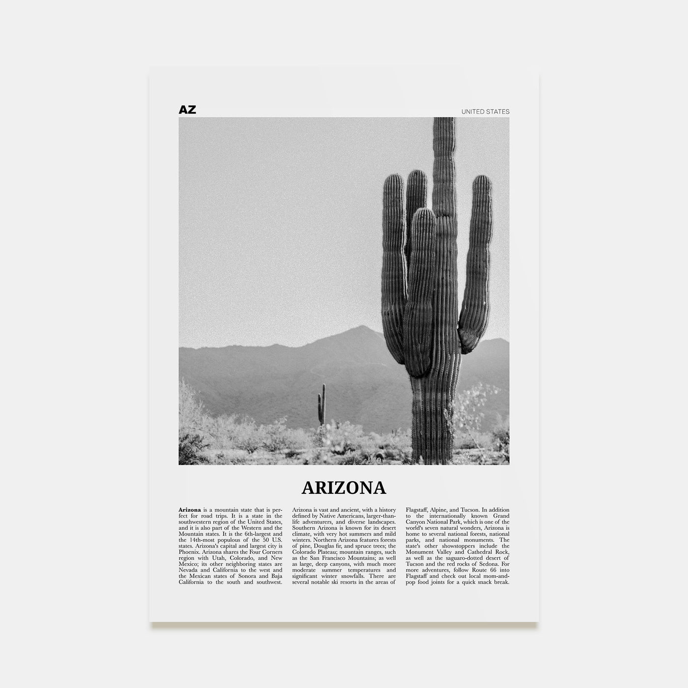 Arizona Travel B&W No 1 Poster