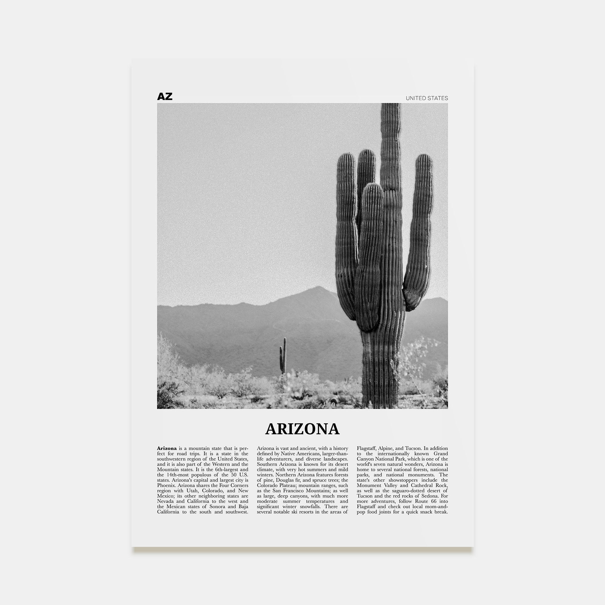 Arizona Travel B&W No 1 Poster