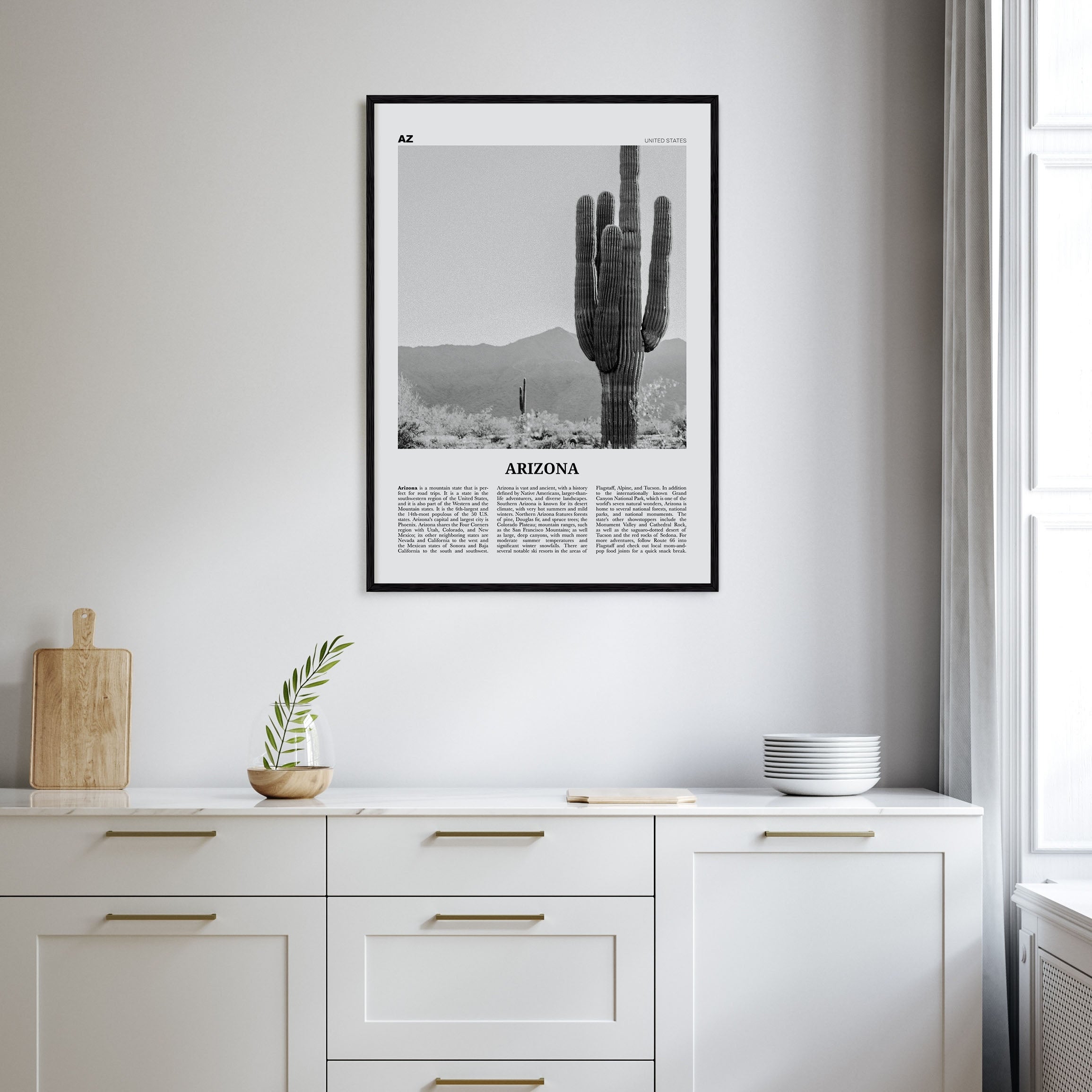 Arizona Travel B&W No 1 Poster