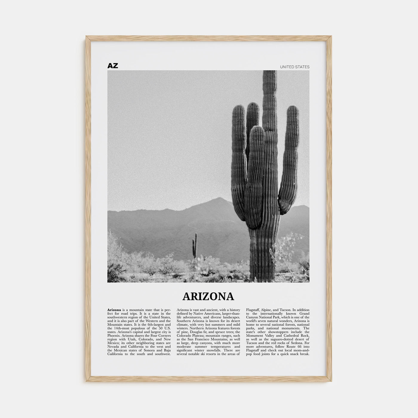 Arizona Travel B&W No 1 Poster
