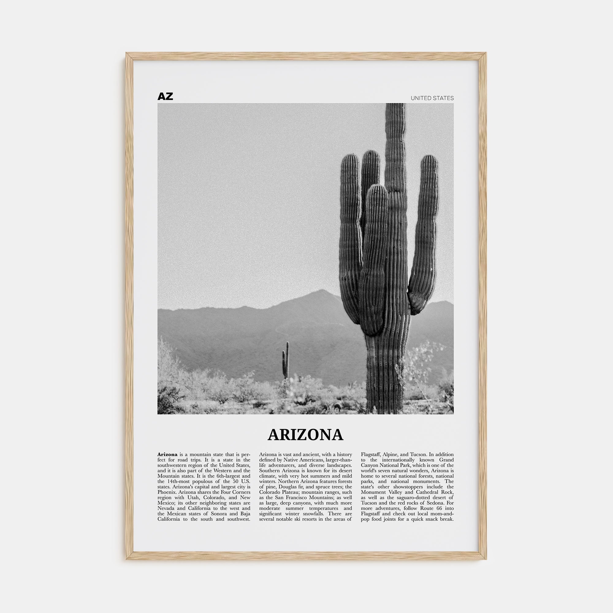 Arizona Travel B&W No 1 Poster