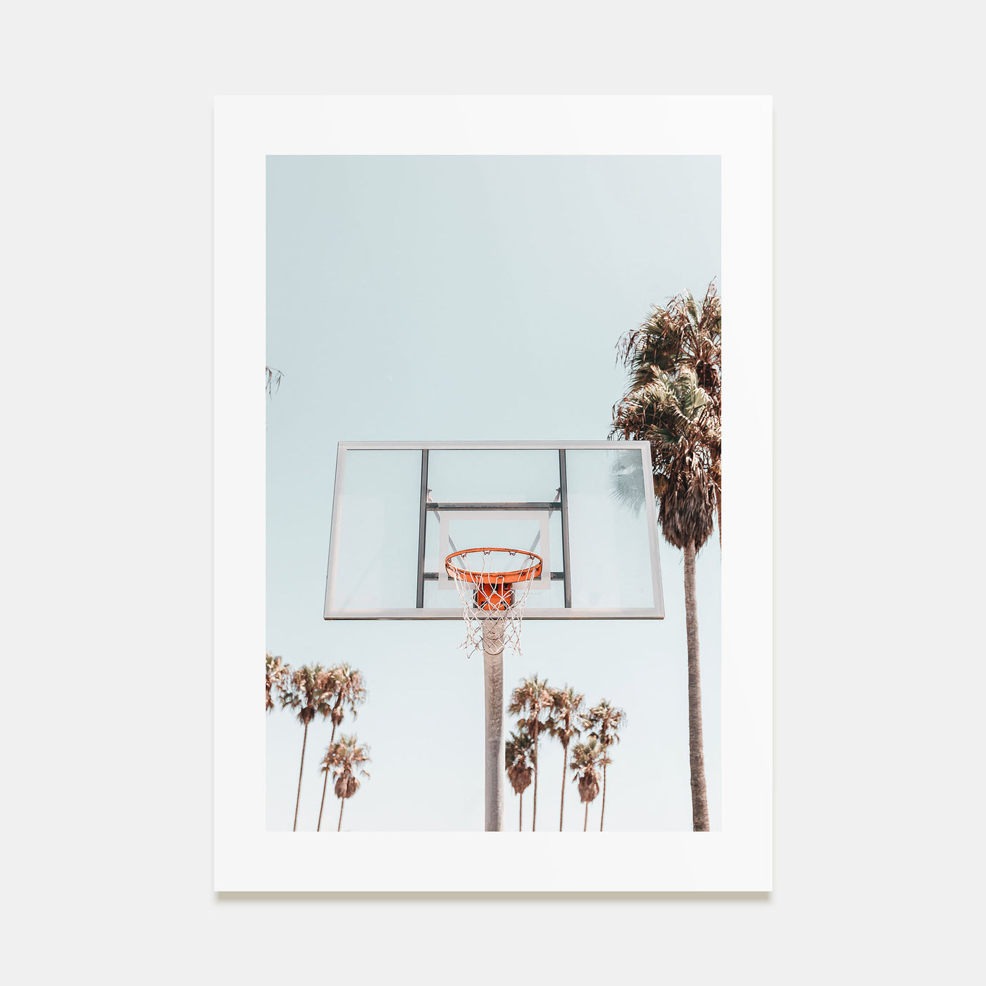 Basketball Court Photo Color No 2 Poster