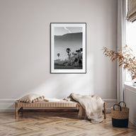California Photo B&W No 1 Poster