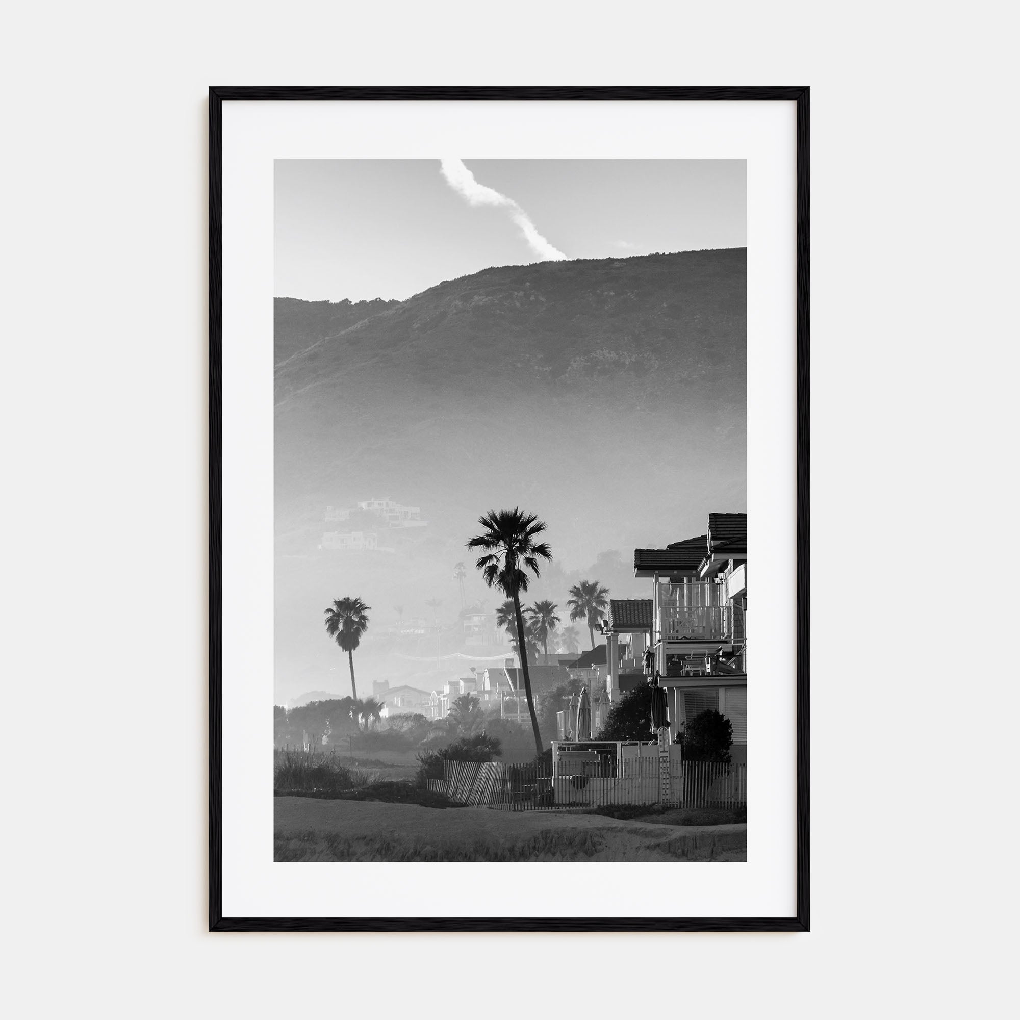 California Photo B&W No 1 Poster