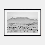 Cape Town Landscape B&W Poster