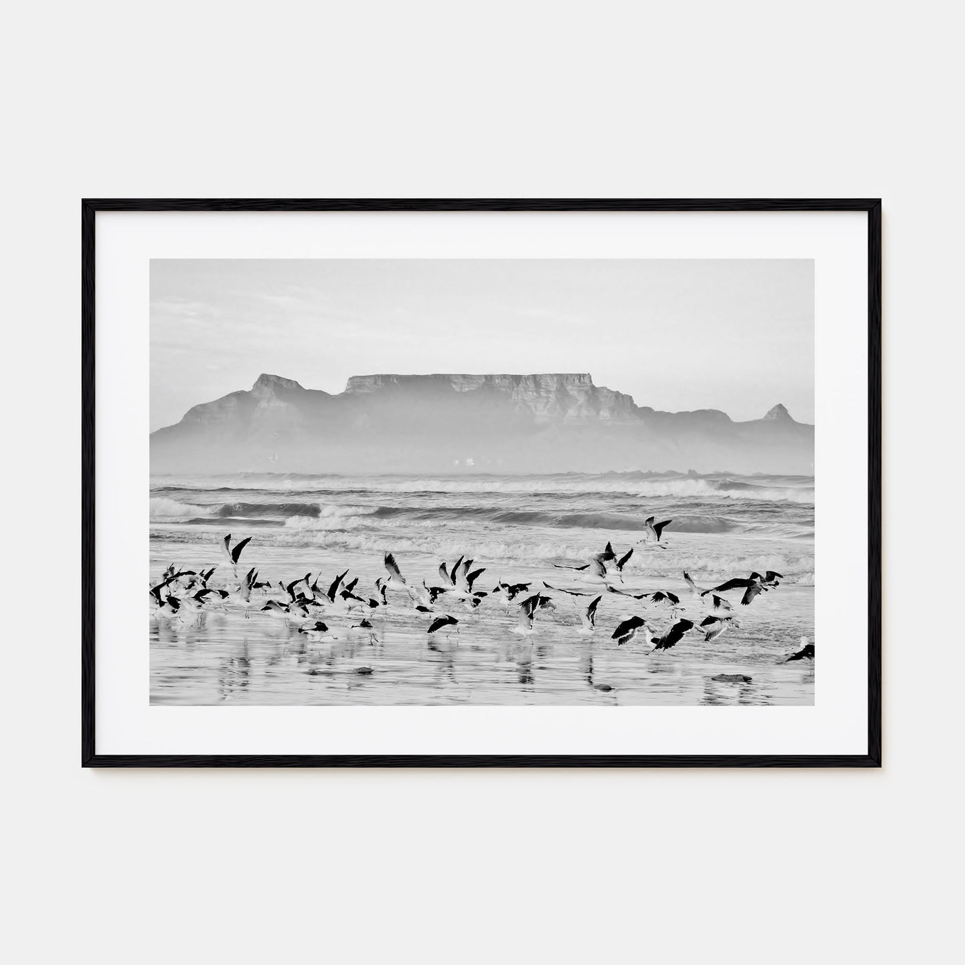 Cape Town Landscape B&W Poster