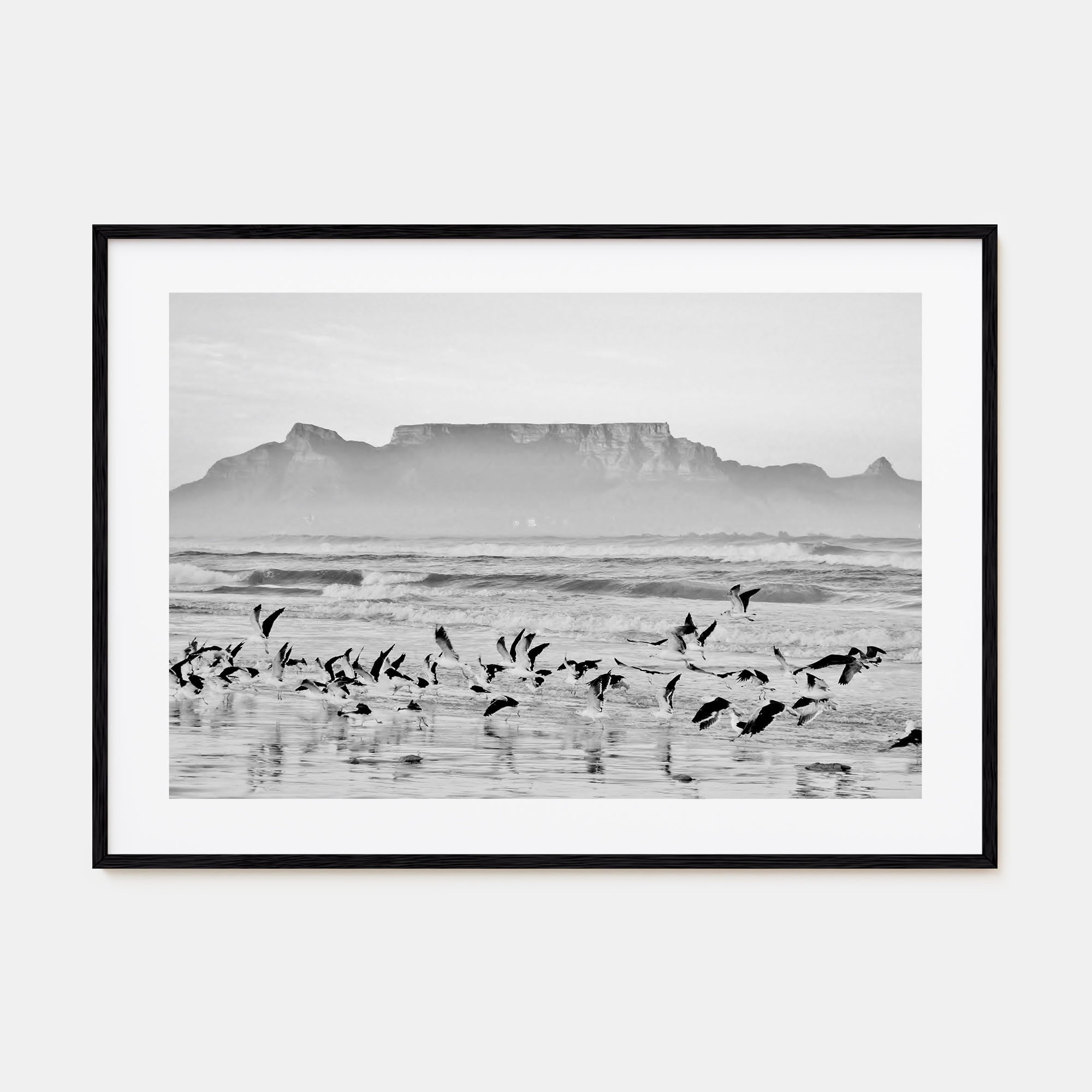 Cape Town Landscape B&W Poster