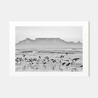 Cape Town Landscape B&W Poster