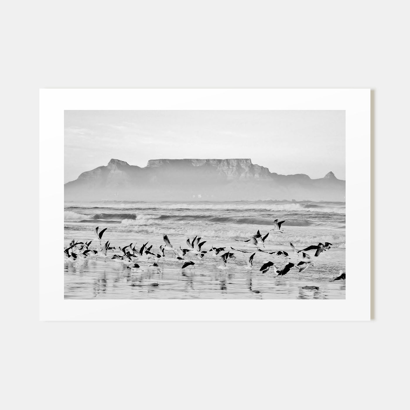 Cape Town Landscape B&W Poster