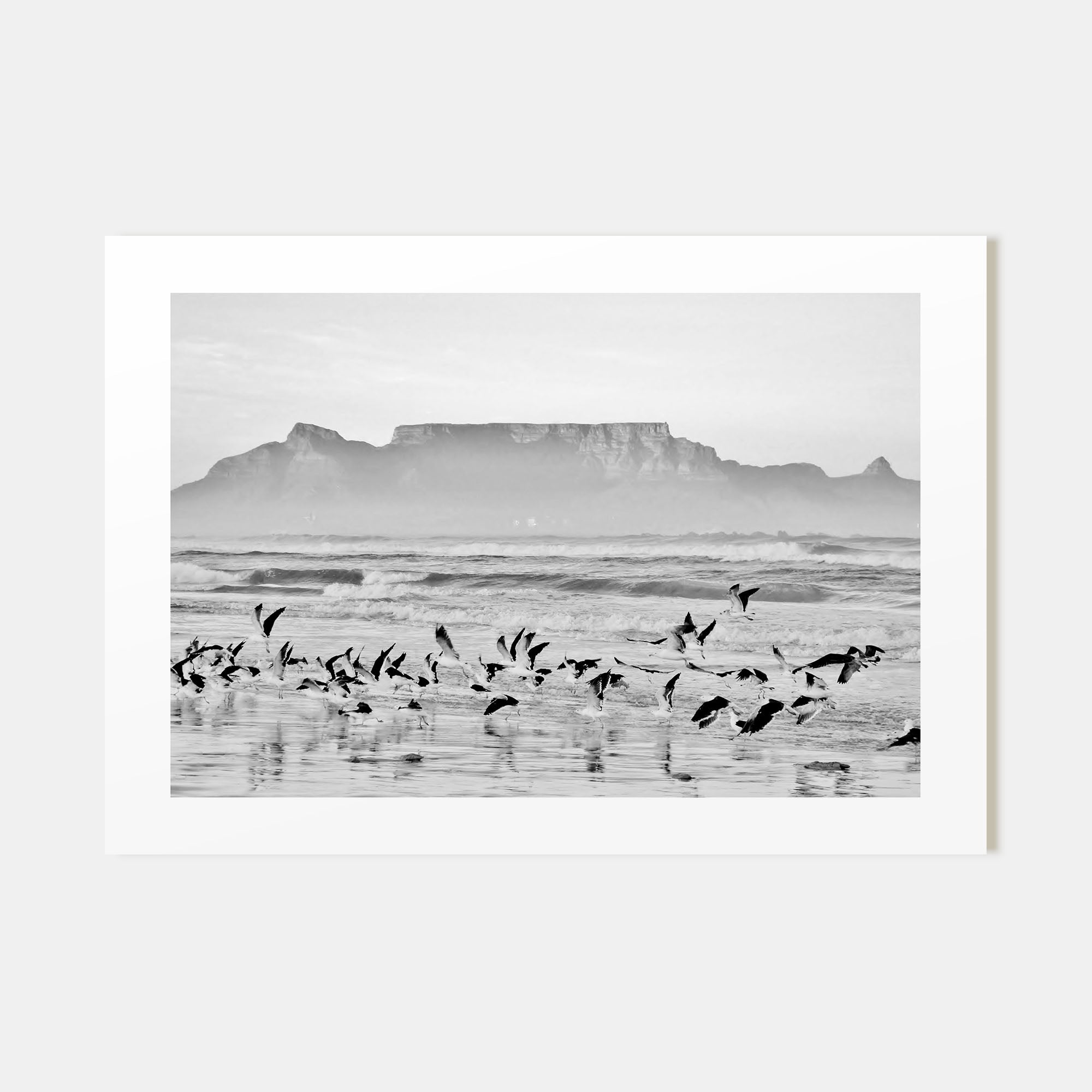 Cape Town Landscape B&W Poster