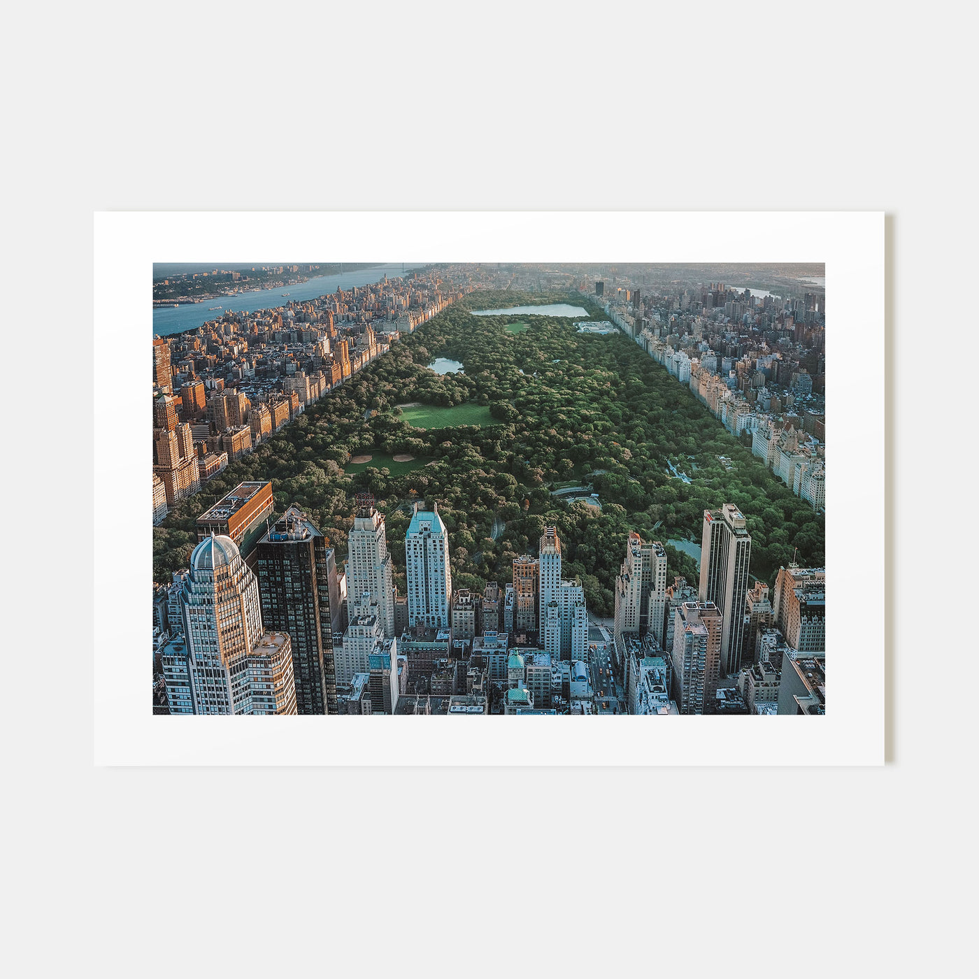 Central Park Landscape Color Poster