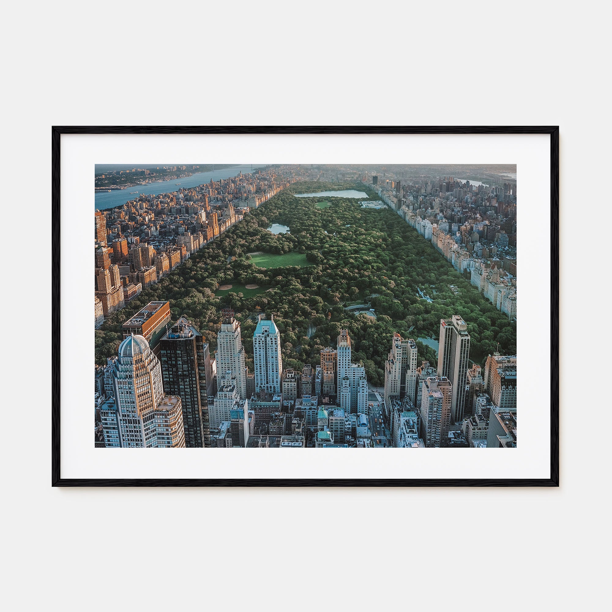 Central Park Landscape Color Poster