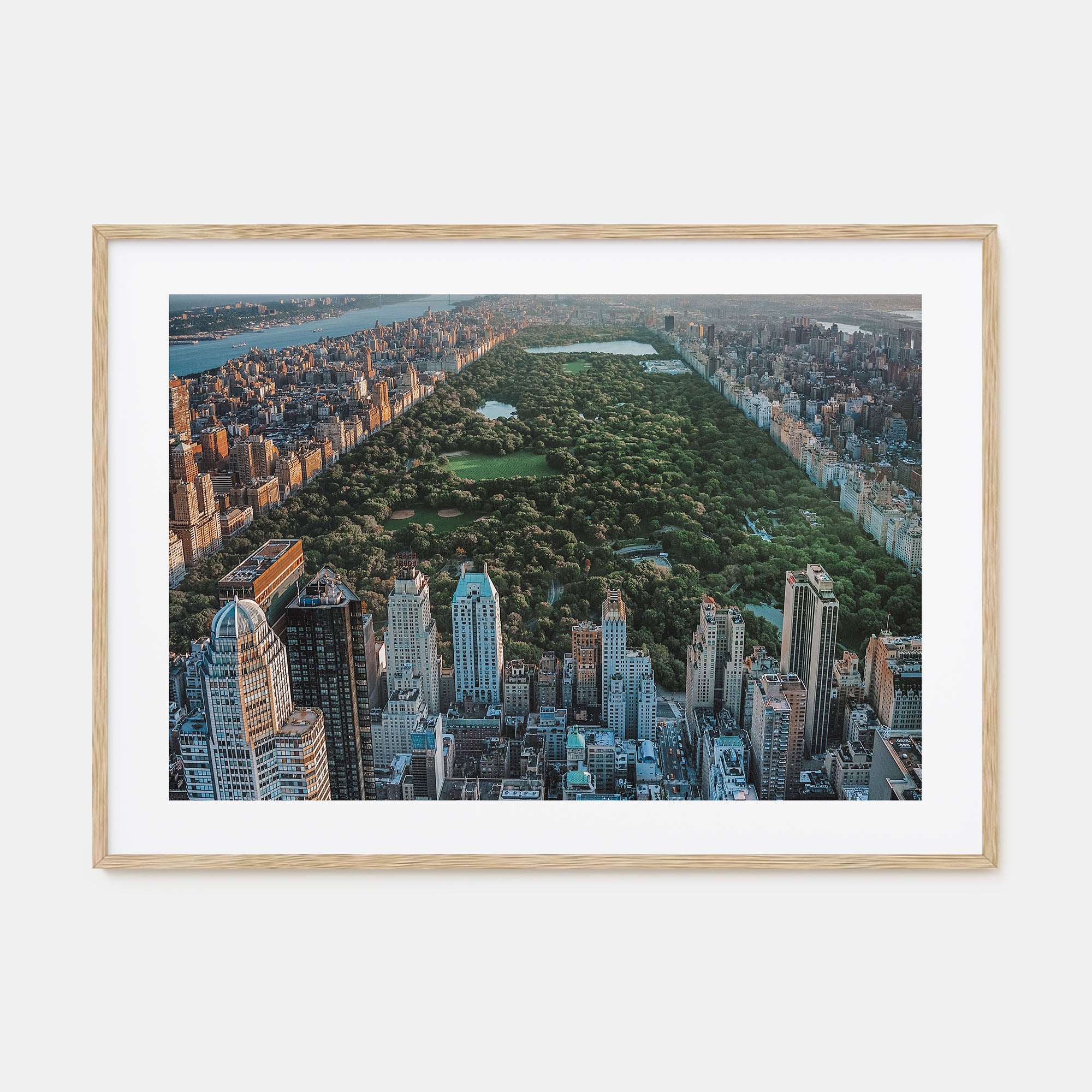 Central Park Landscape Color Poster