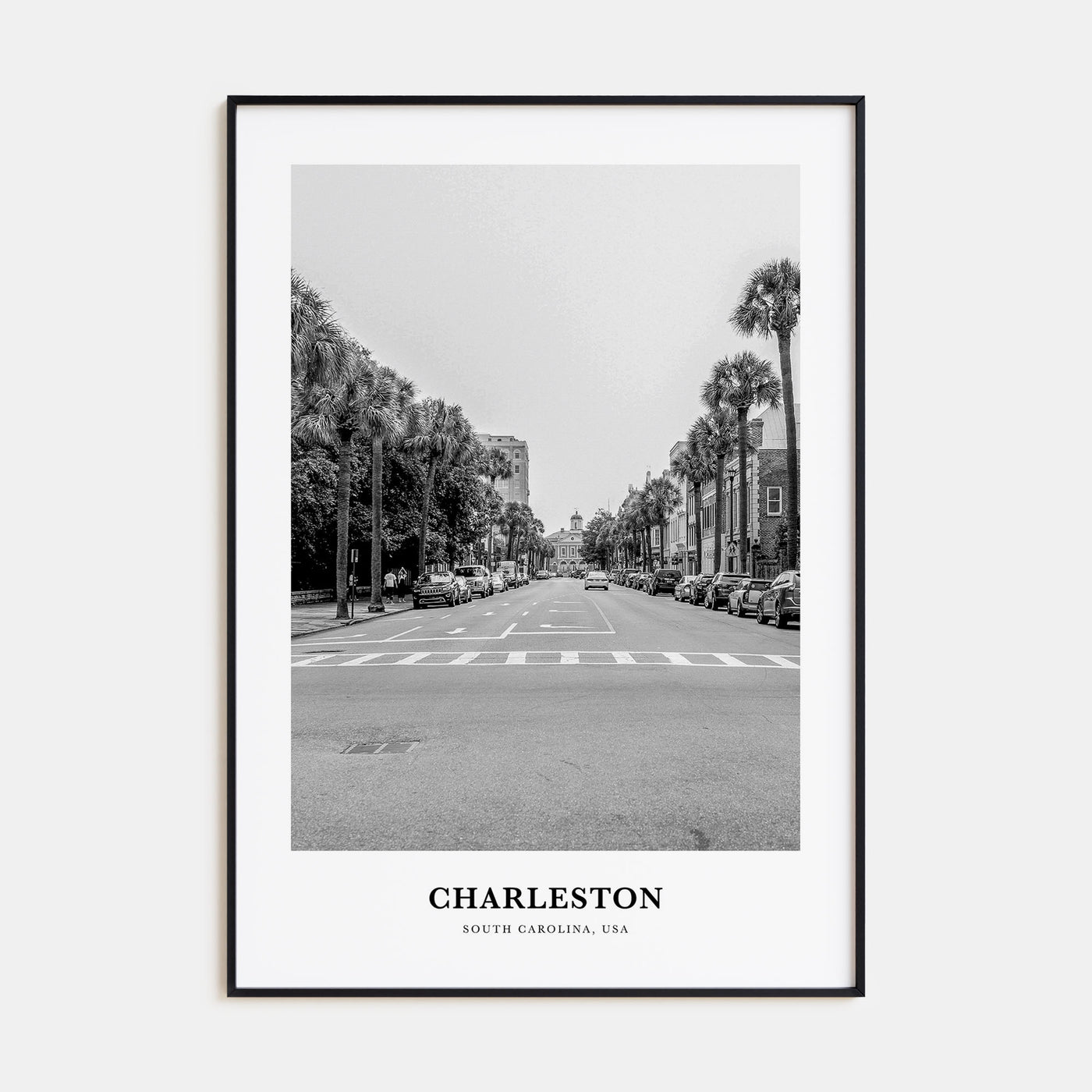 Charleston, South Carolina Portrait B&W No 1 Poster