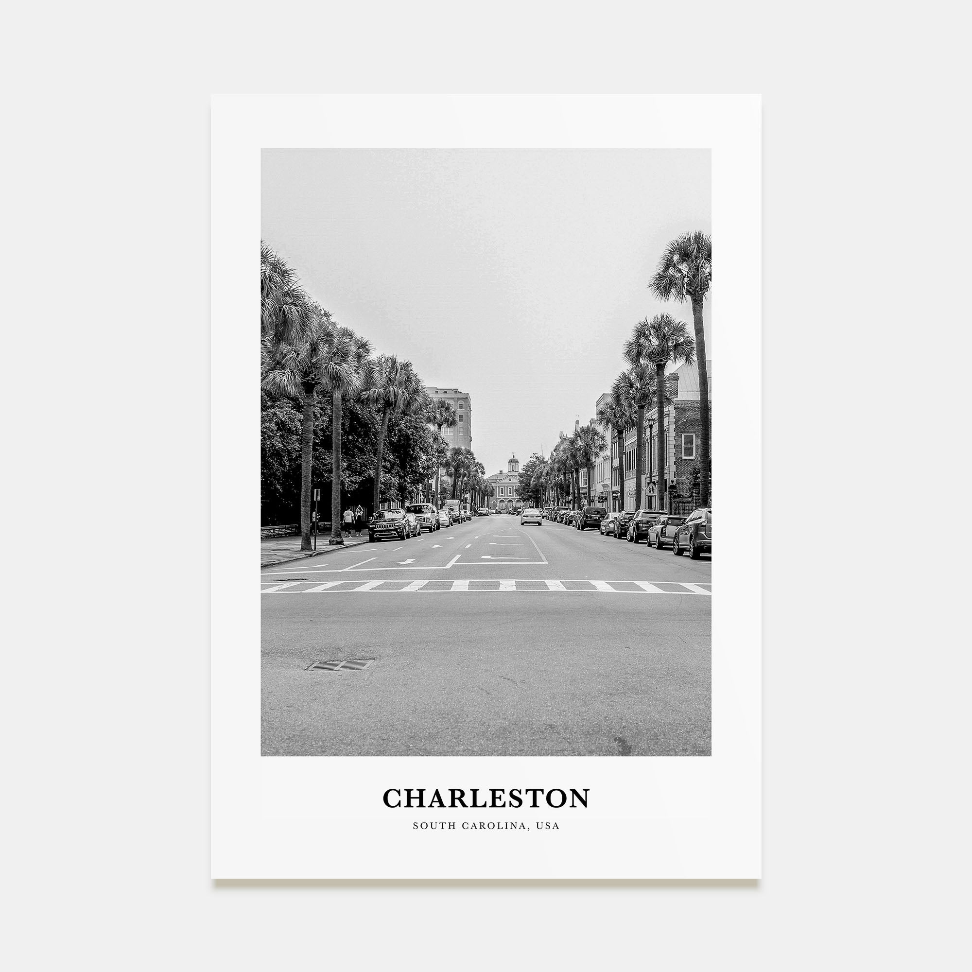 Charleston, South Carolina Portrait B&W No 1 Poster