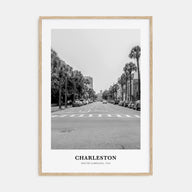 Charleston, South Carolina Portrait B&W No 1 Poster