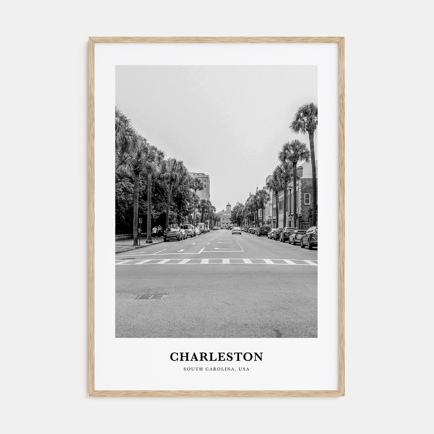 Charleston, South Carolina Portrait B&W No 1 Poster