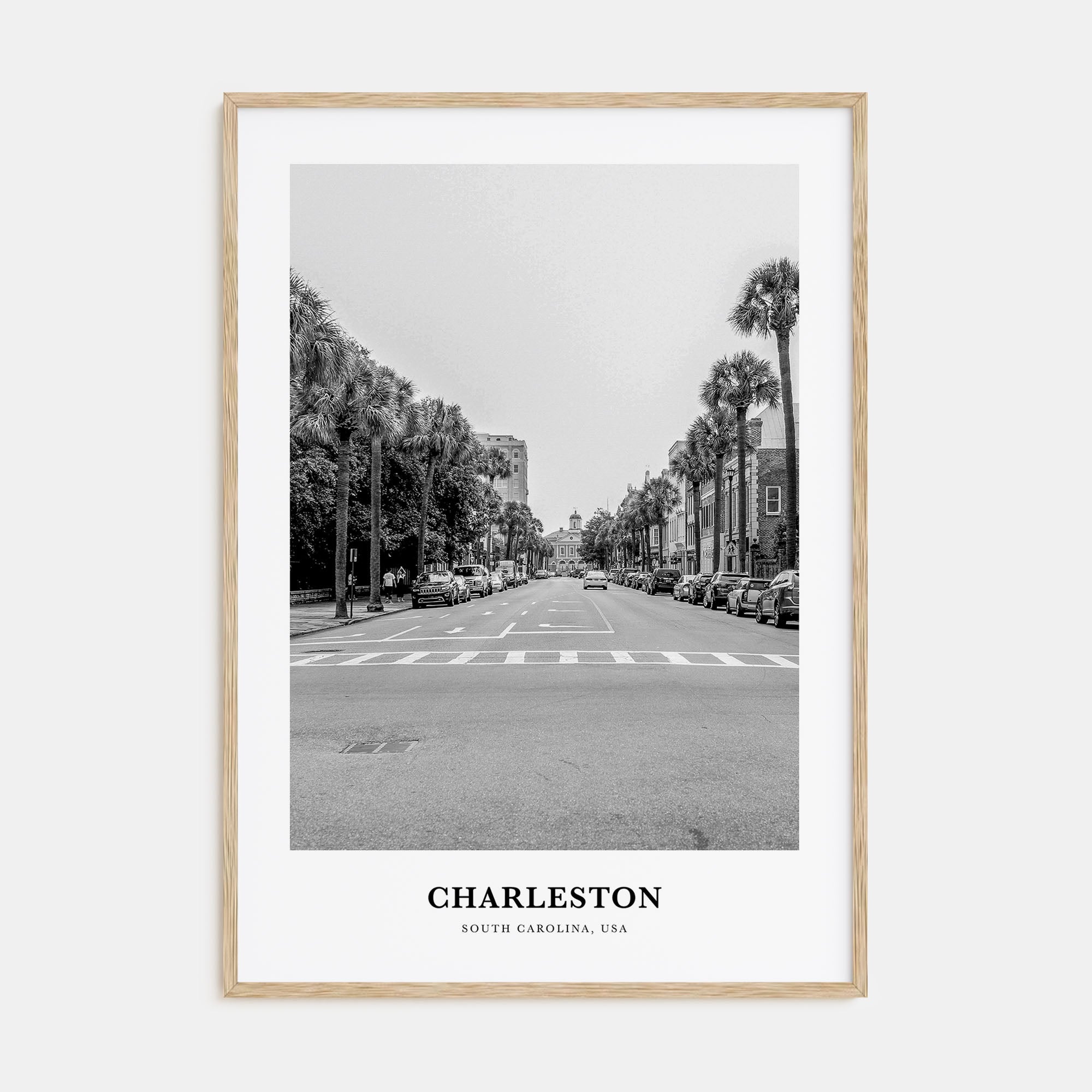 Charleston, South Carolina Portrait B&W No 1 Poster