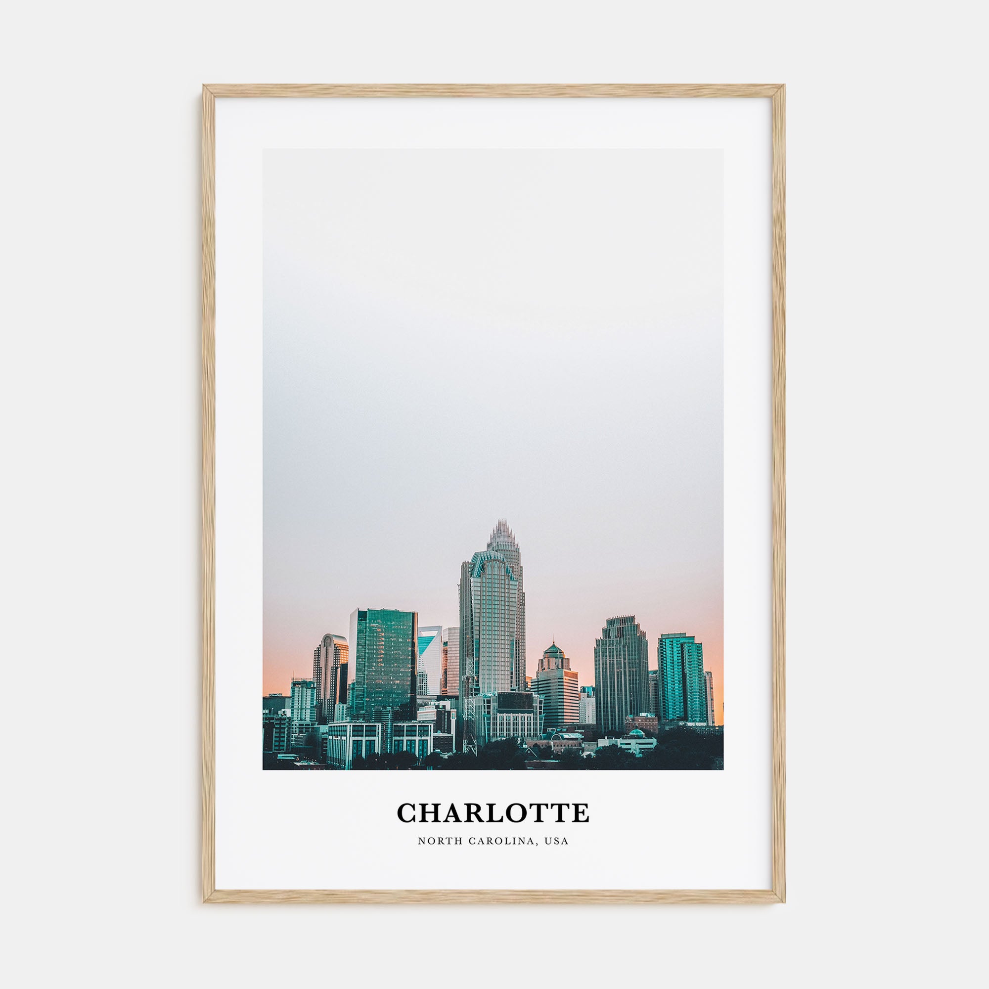 Charlotte Portrait Color No 1 Poster