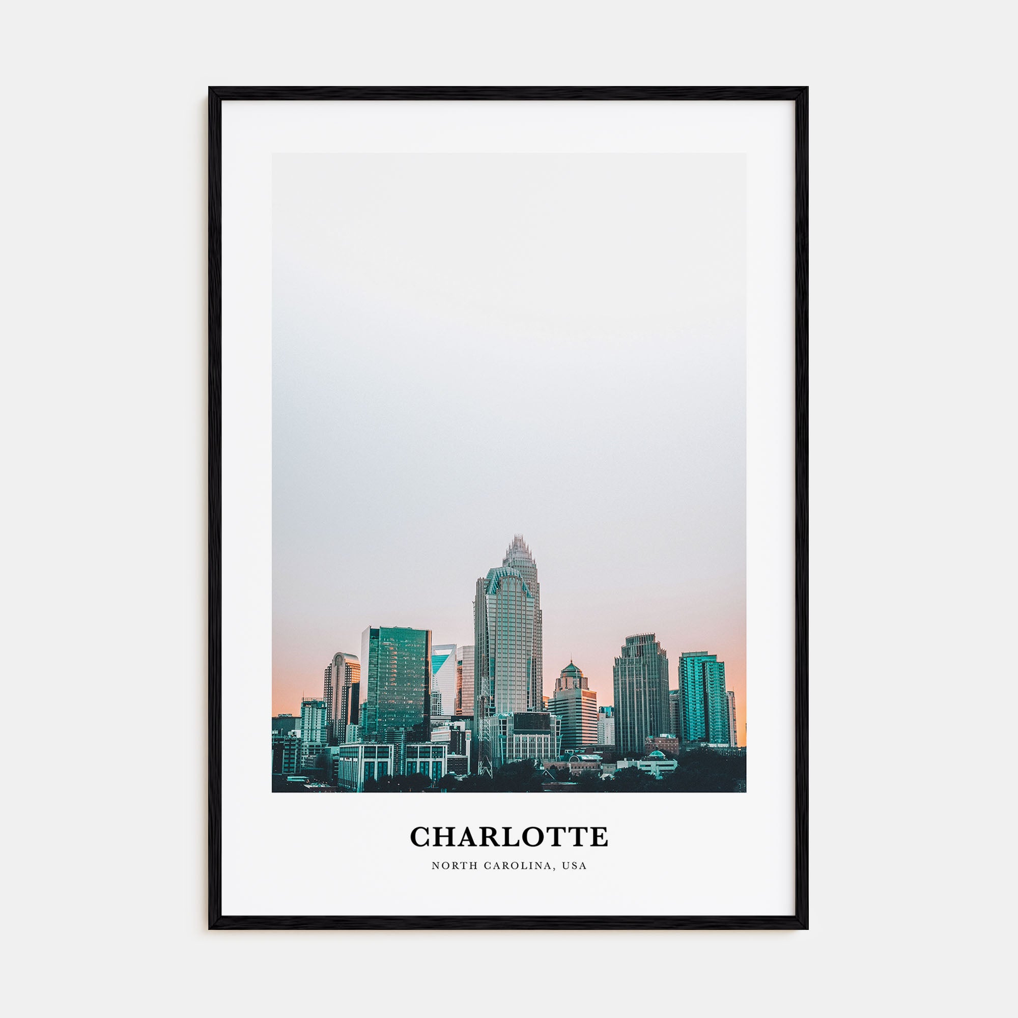Charlotte Portrait Color No 1 Poster