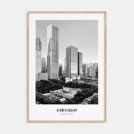 Chicago Portrait B&W No 2 Poster