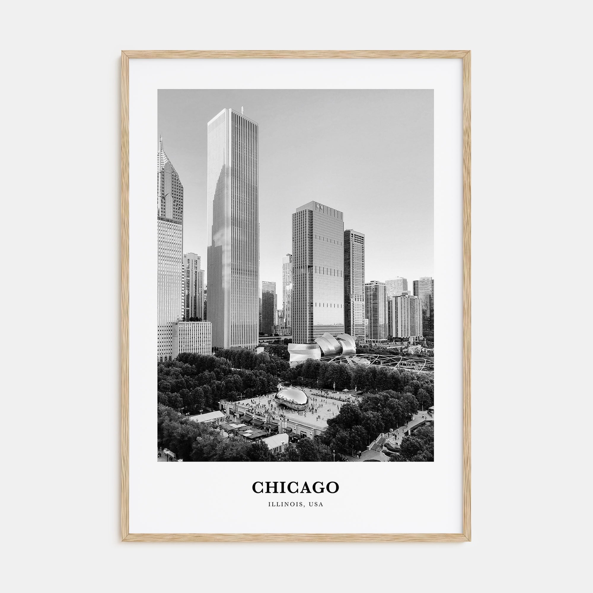 Chicago Portrait B&W No 2 Poster
