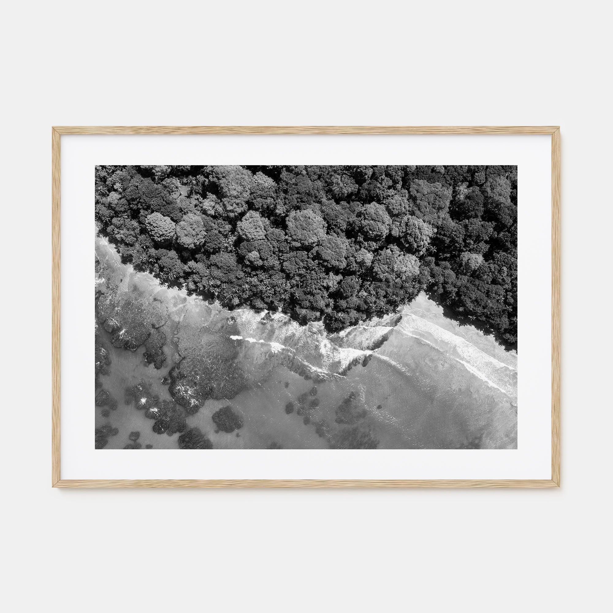 Costa Rica Landscape B&W Poster
