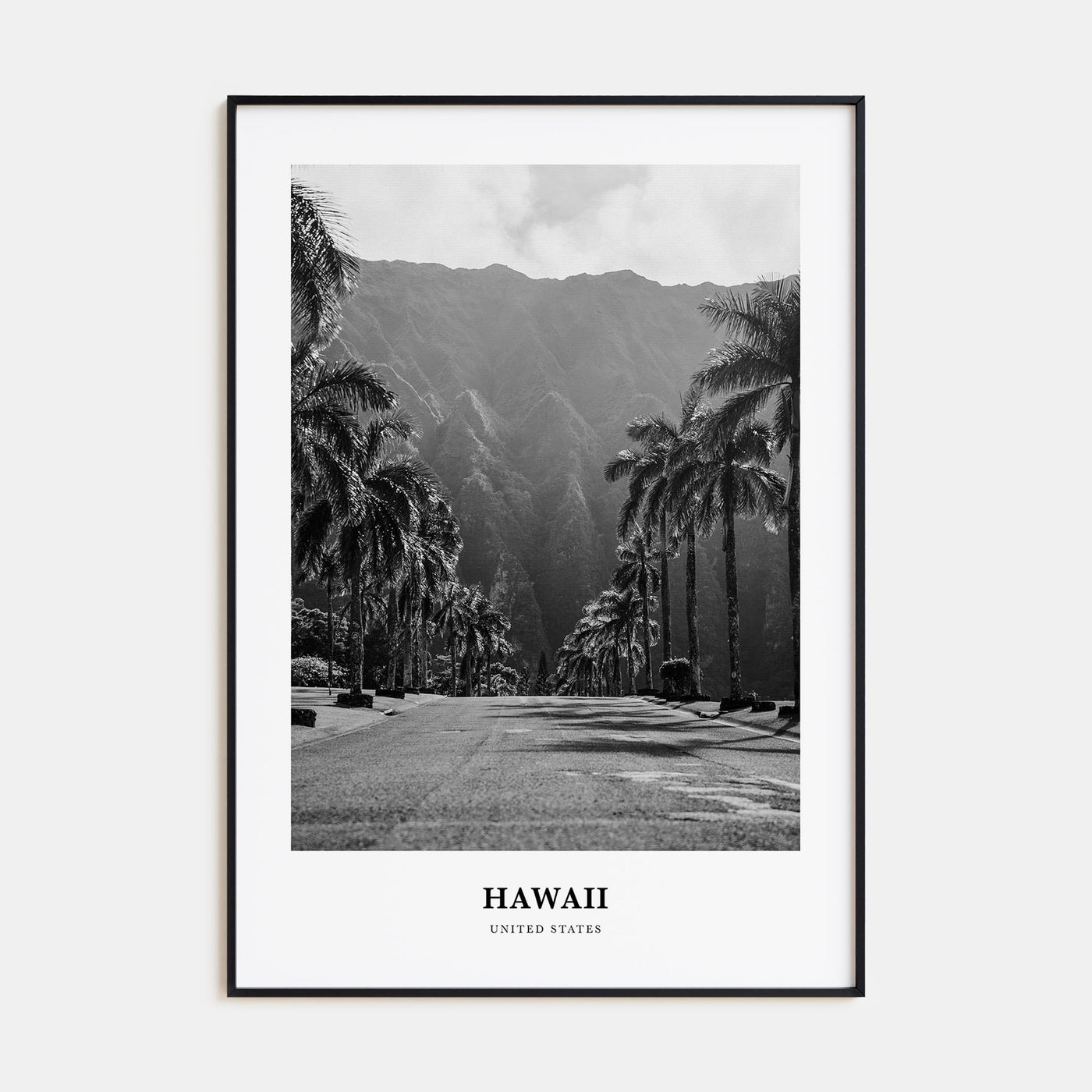 Hawaii Portrait B&W No 1 Poster