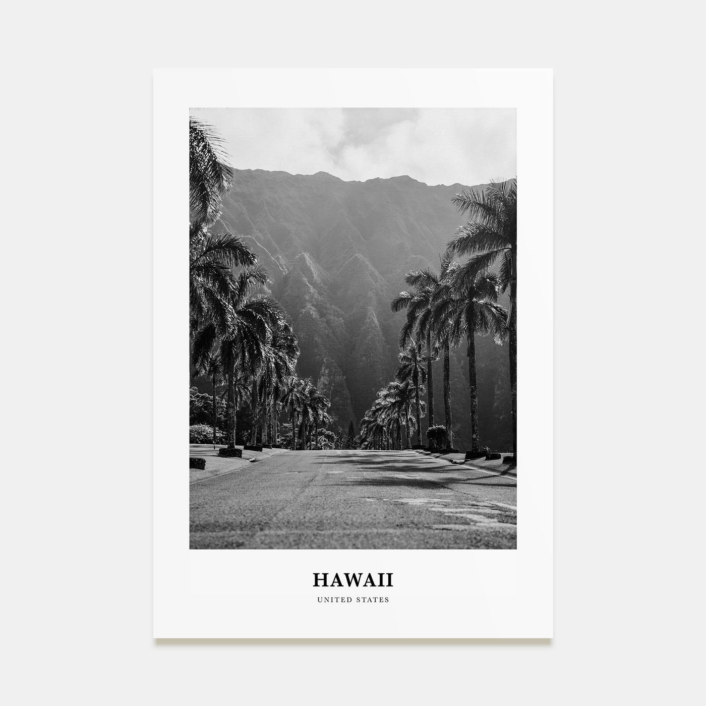 Hawaii Portrait B&W No 1 Poster