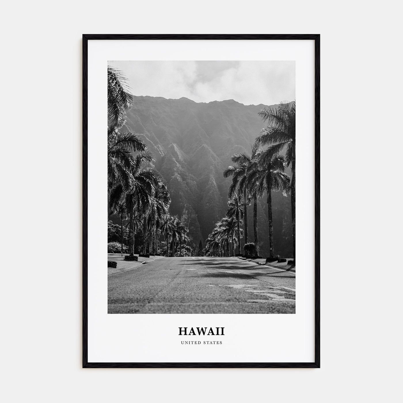 Hawaii Portrait B&W No 1 Poster