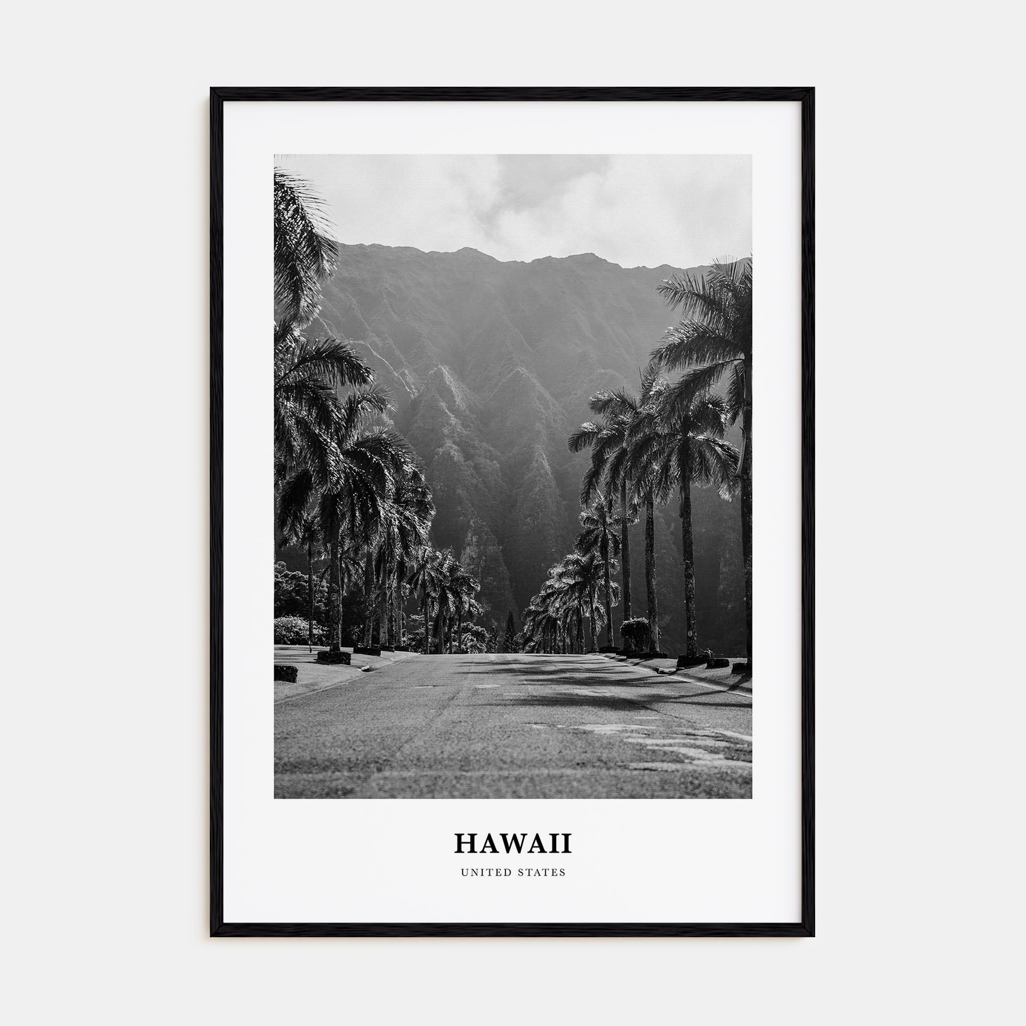Hawaii Portrait B&W No 1 Poster