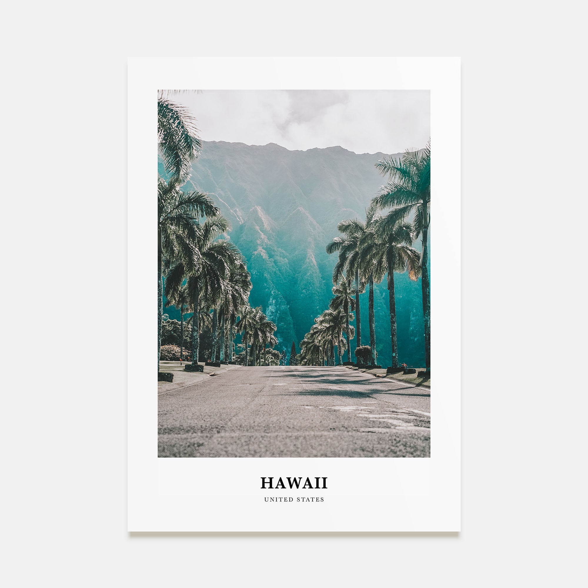 Hawaii Portrait Color No 1 Poster