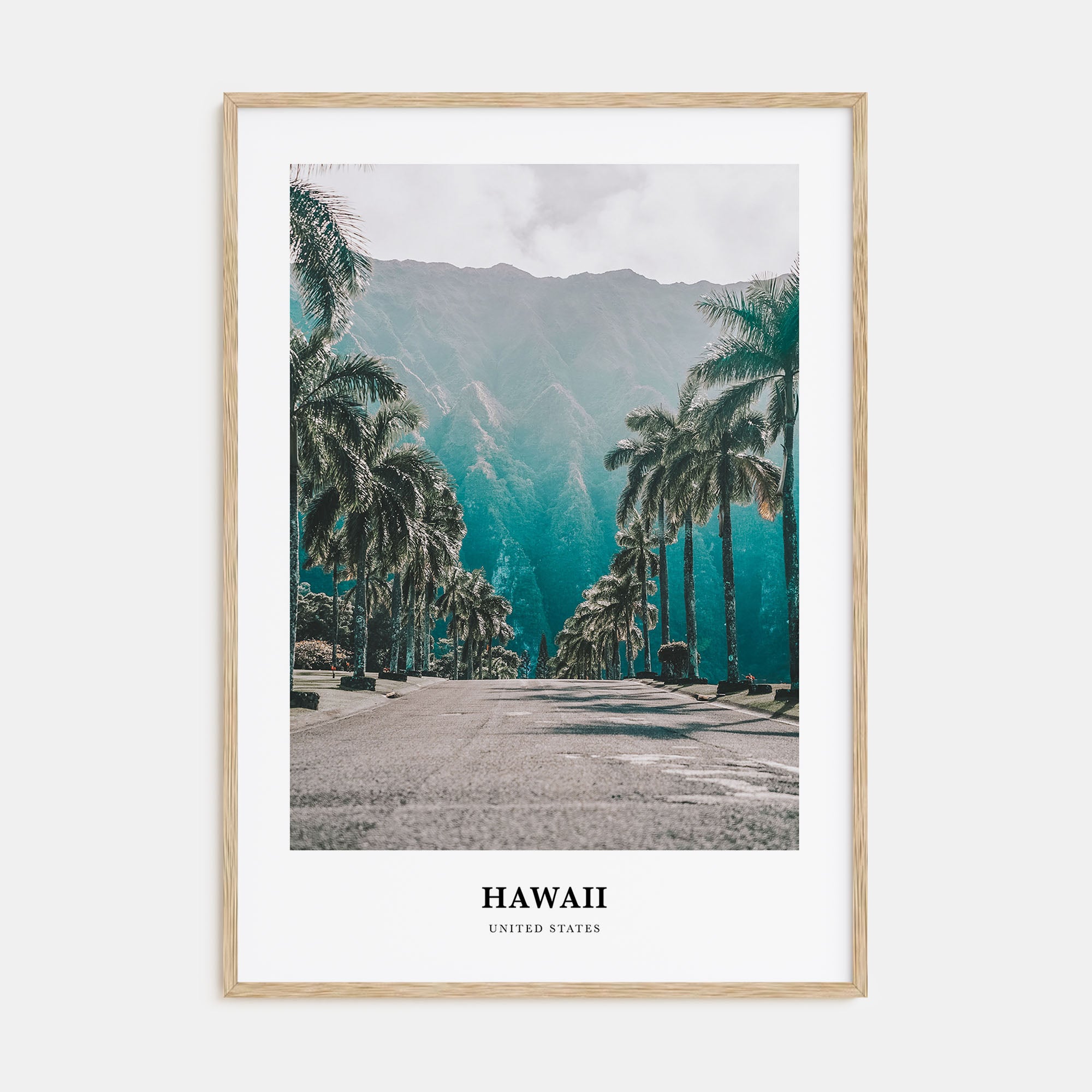 Hawaii Portrait Color No 1 Poster