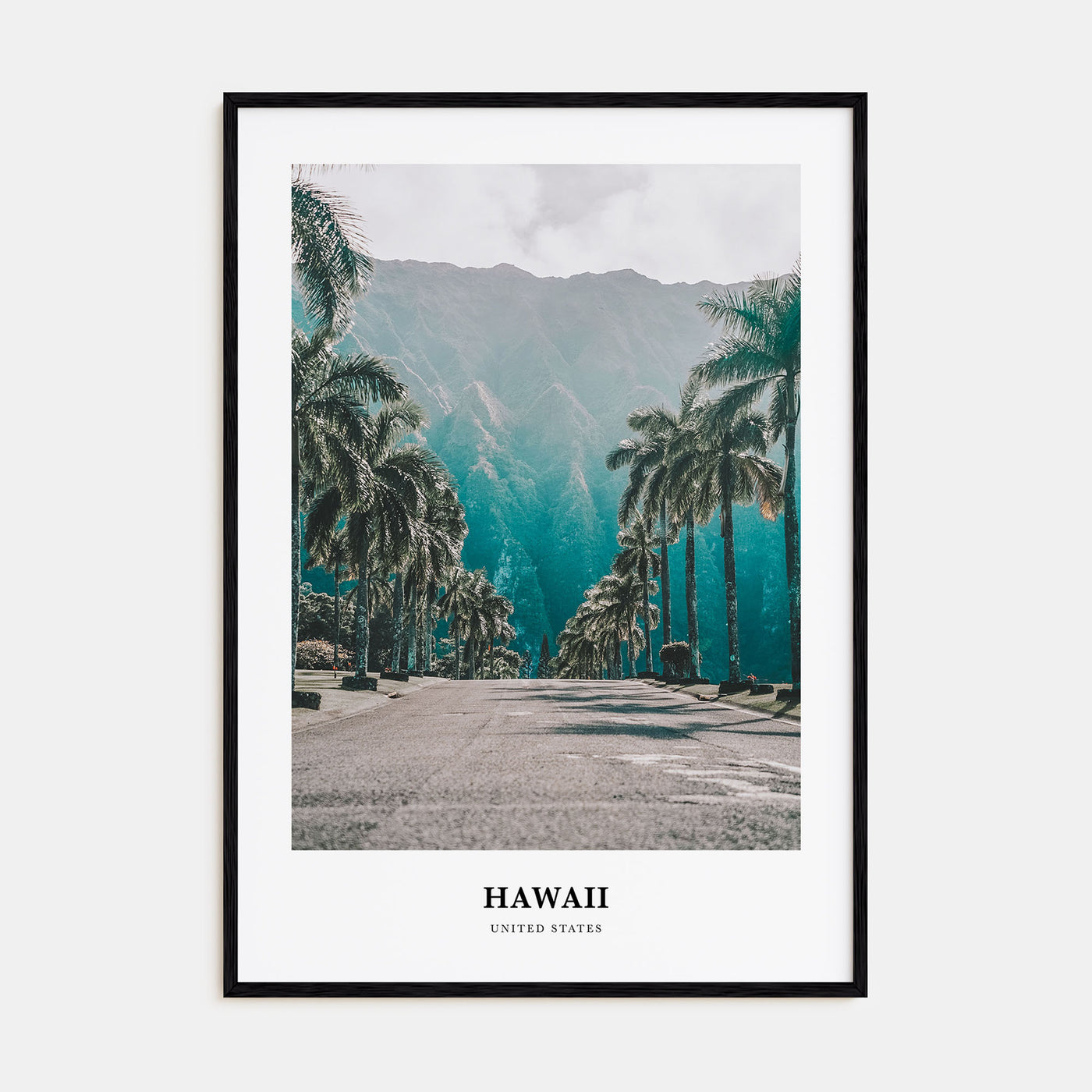 Hawaii Portrait Color No 1 Poster