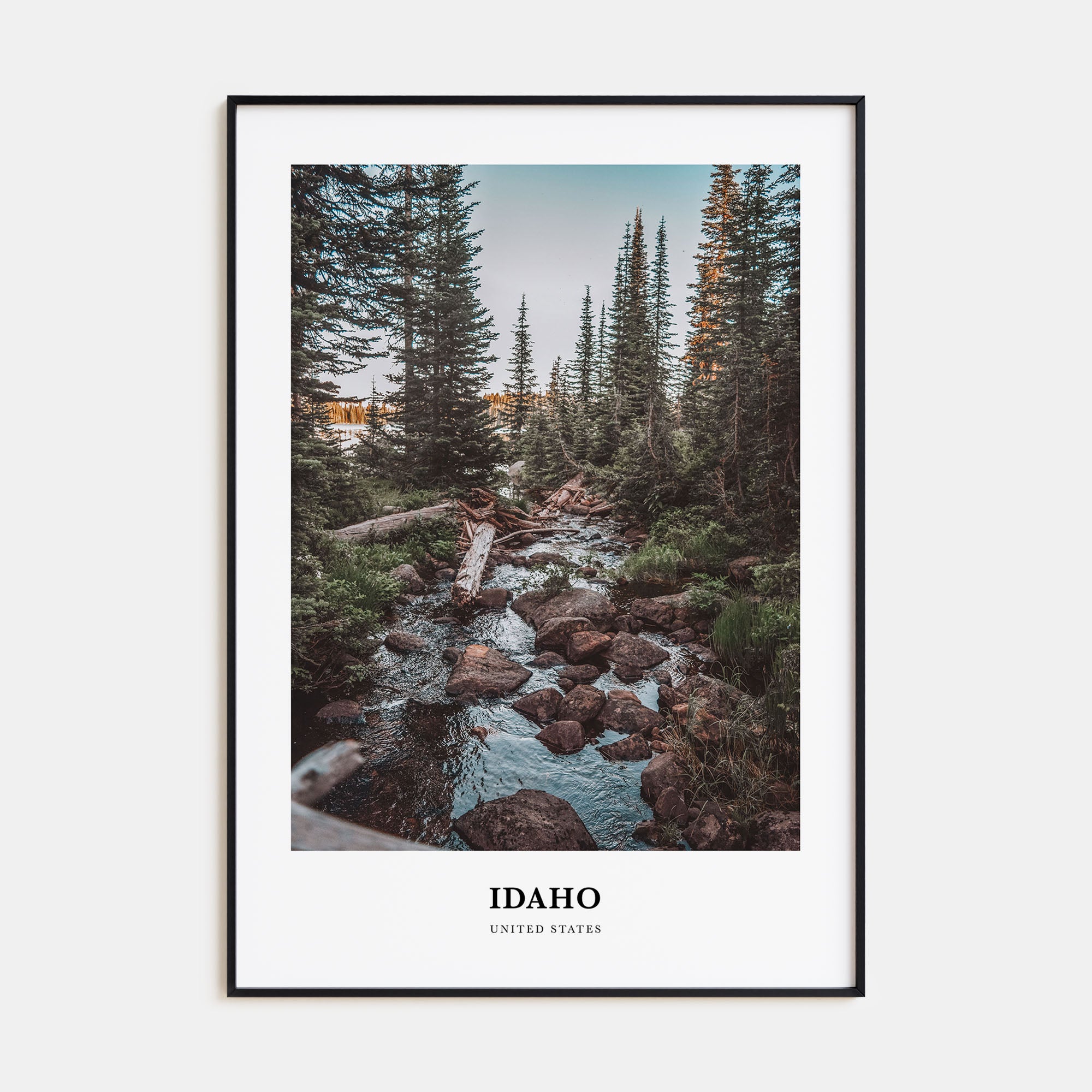 Idaho Portrait Color No 1 Poster