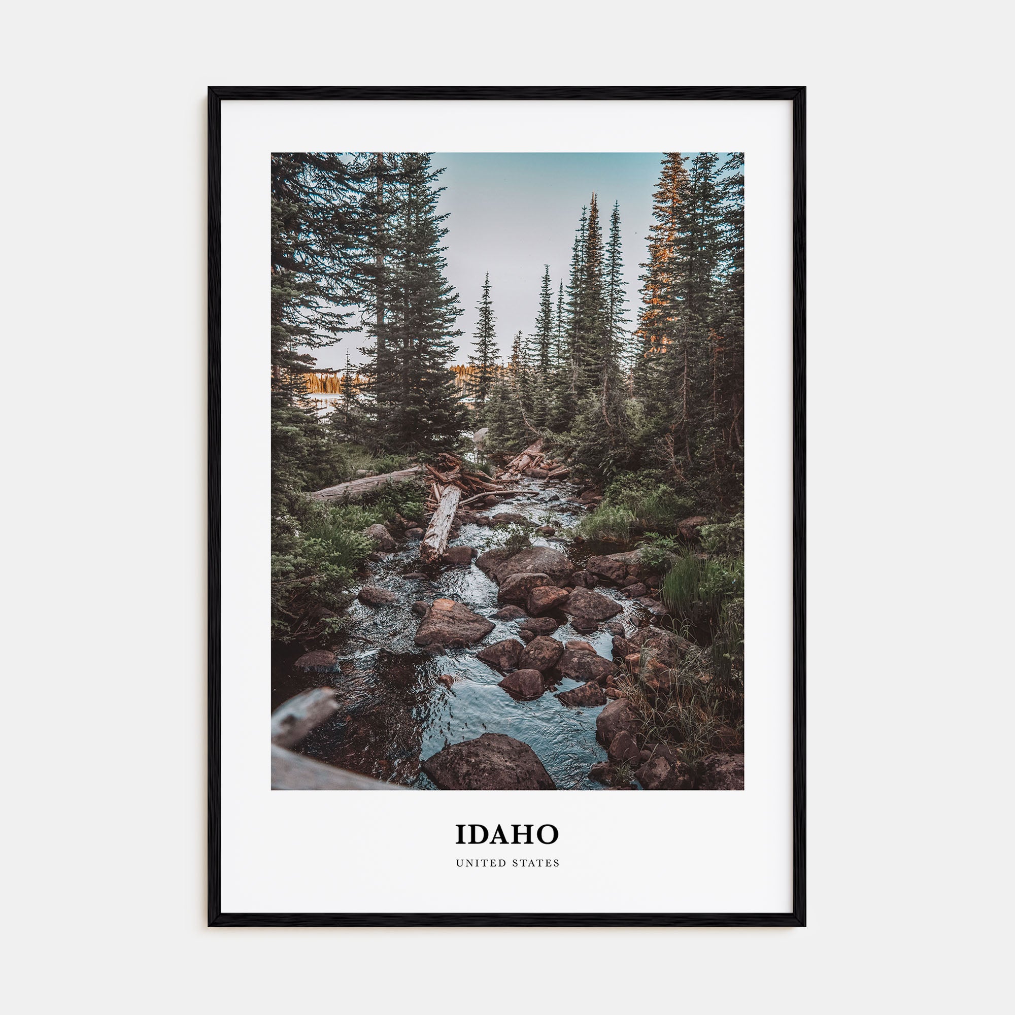 Idaho Portrait Color No 1 Poster