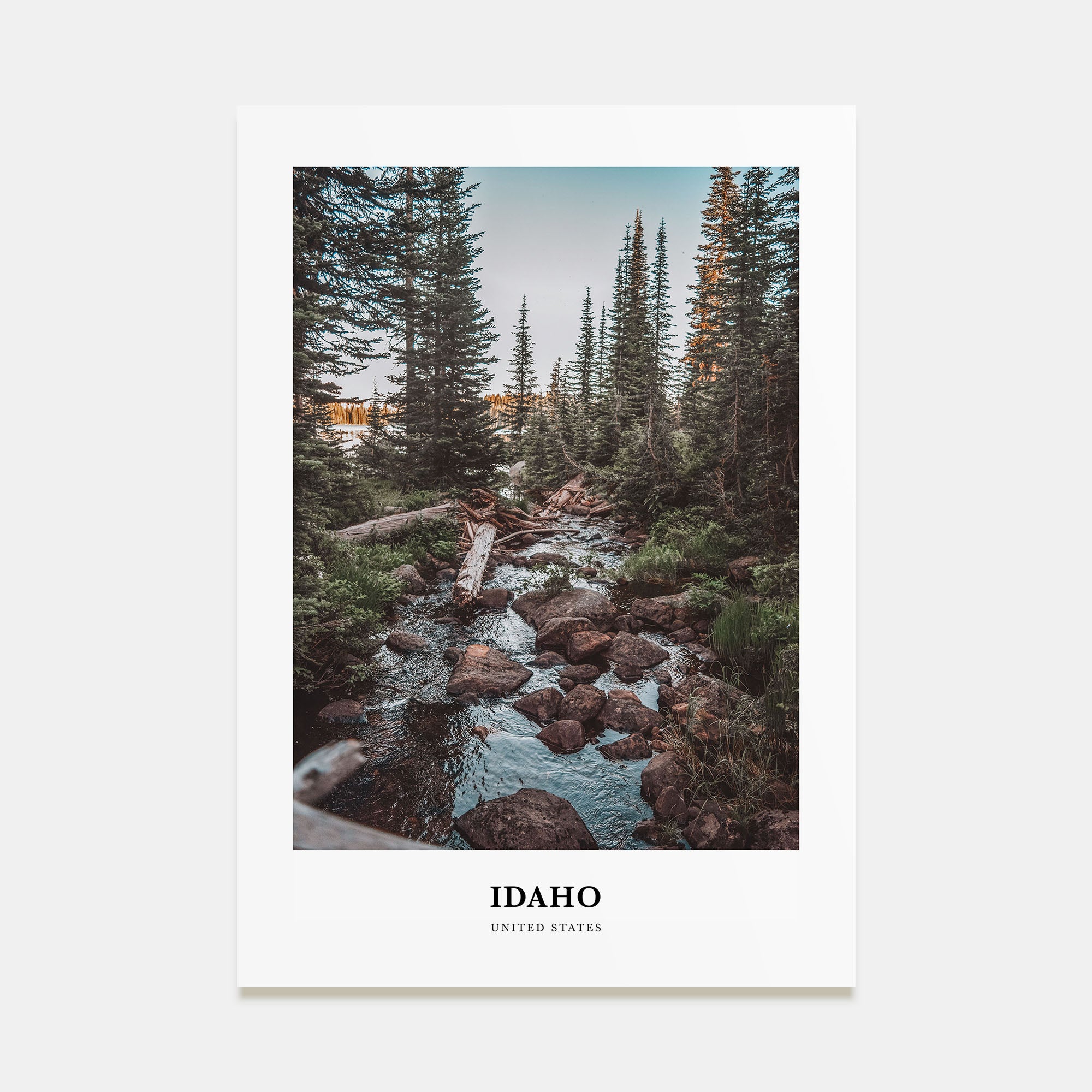 Idaho Portrait Color No 1 Poster