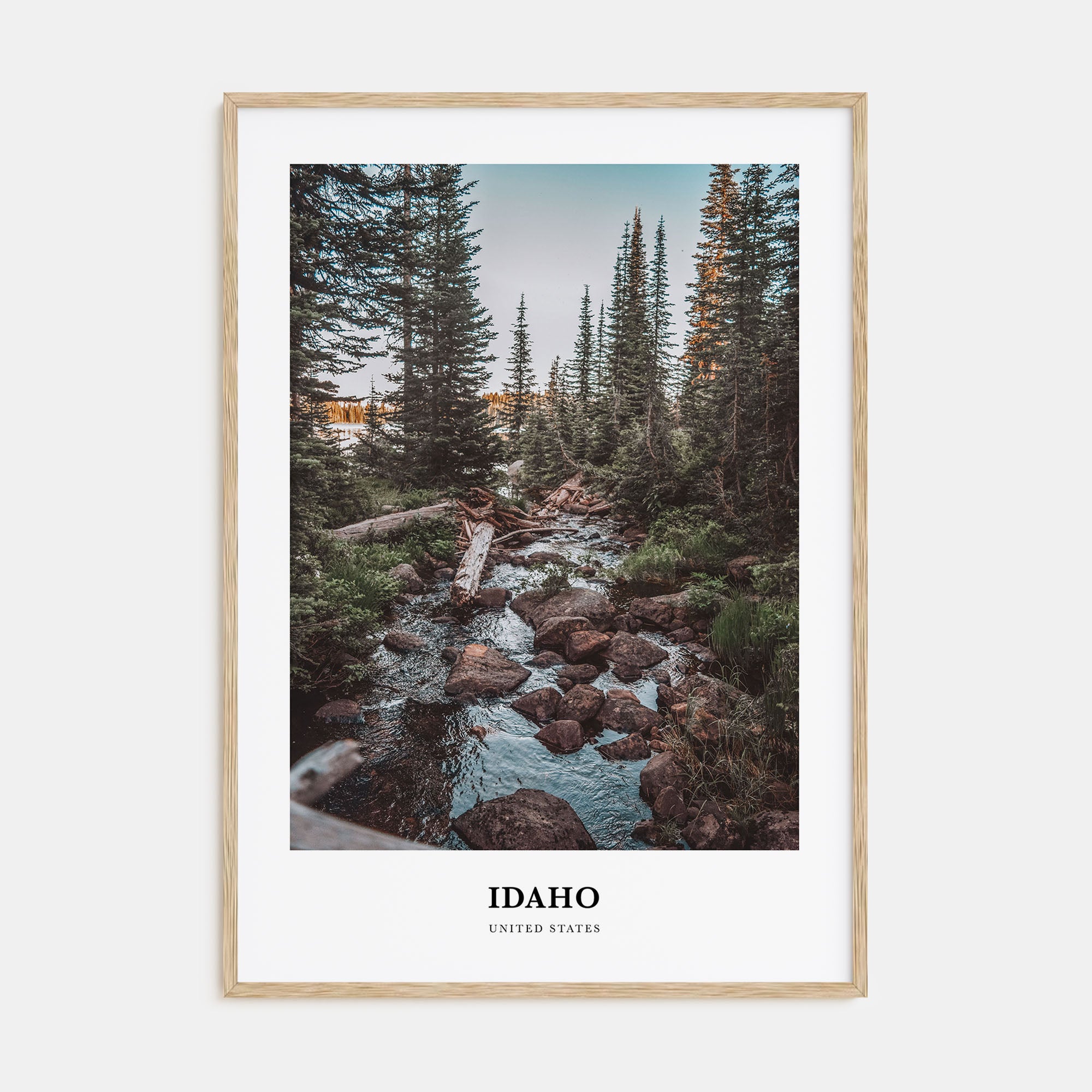Idaho Portrait Color No 1 Poster