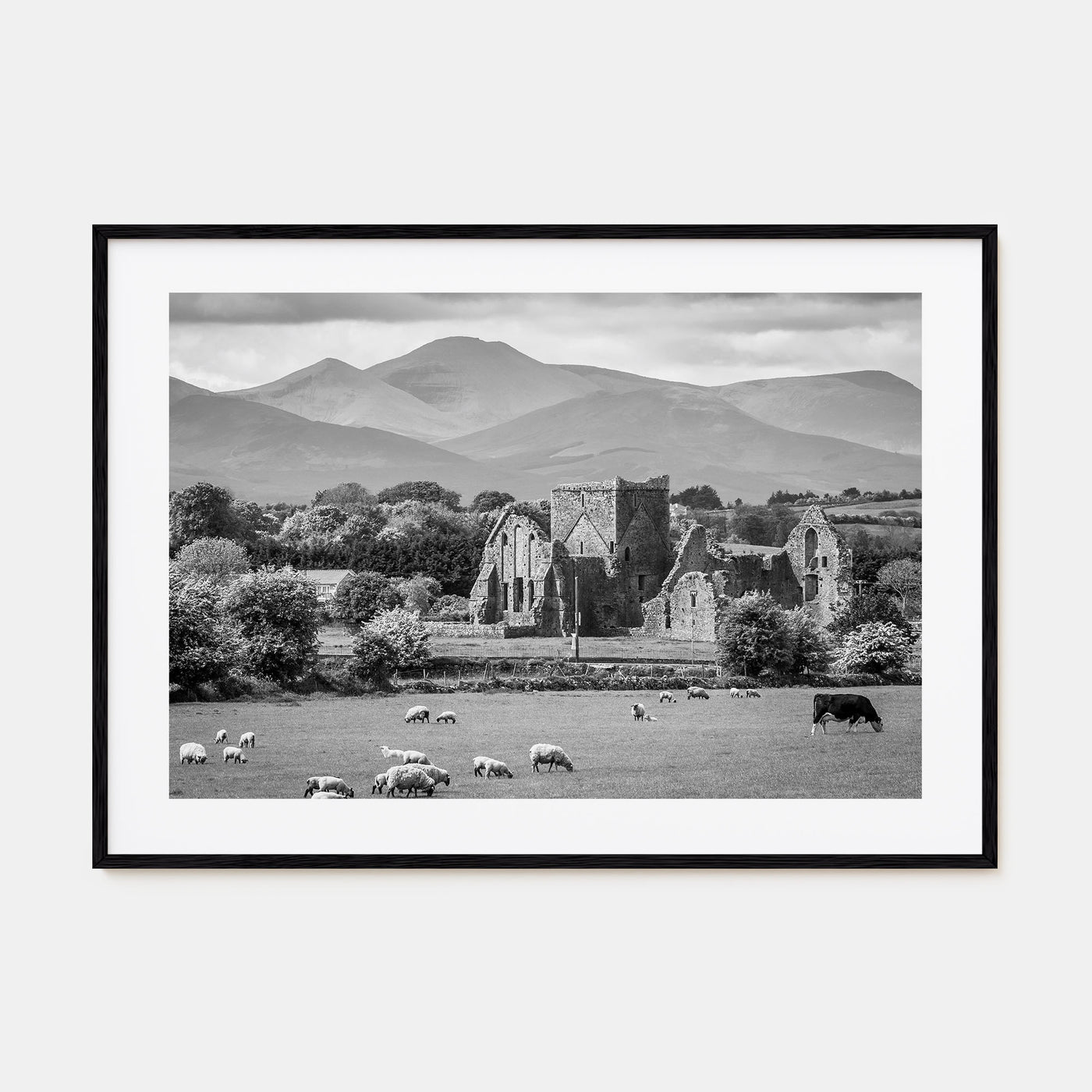 Ireland Landscape B&W Poster