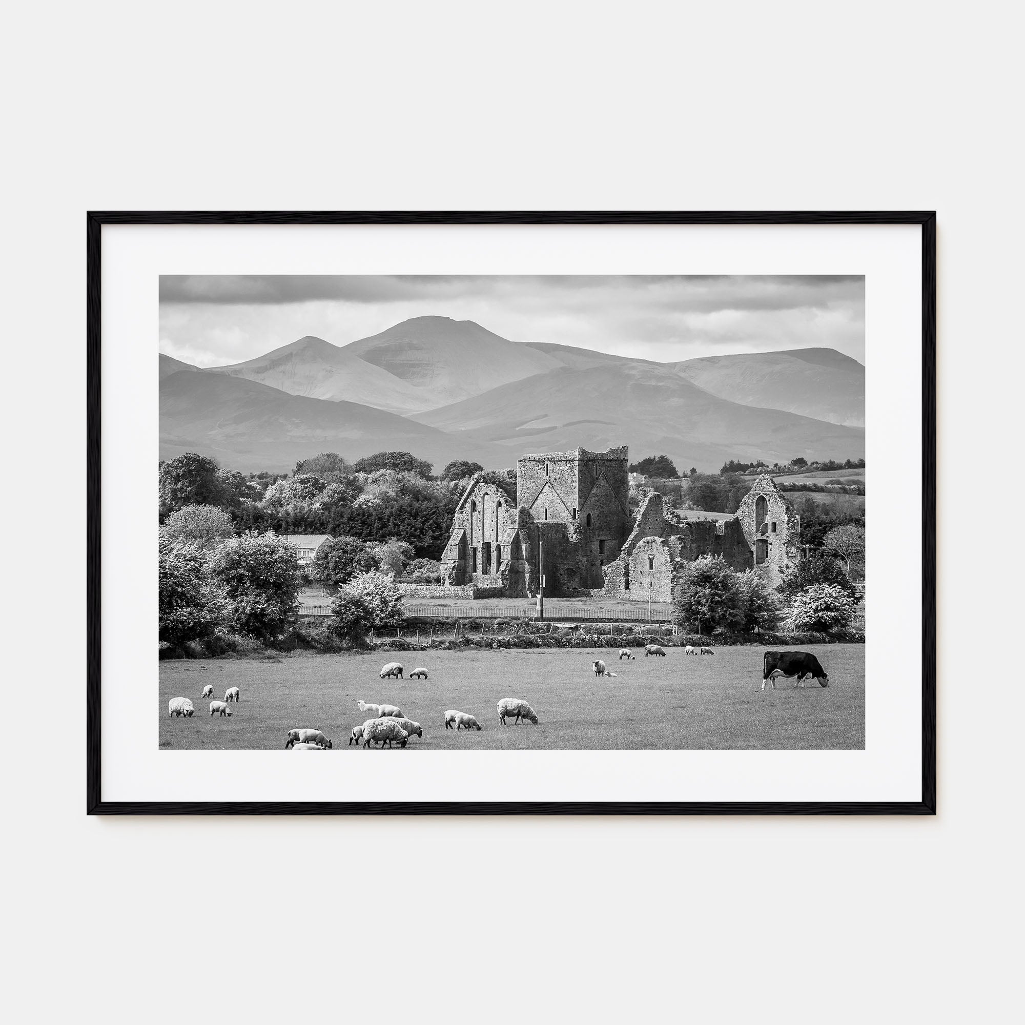 Ireland Landscape B&W Poster