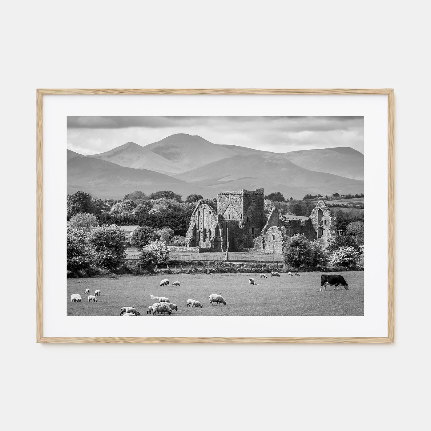 Ireland Landscape B&W Poster