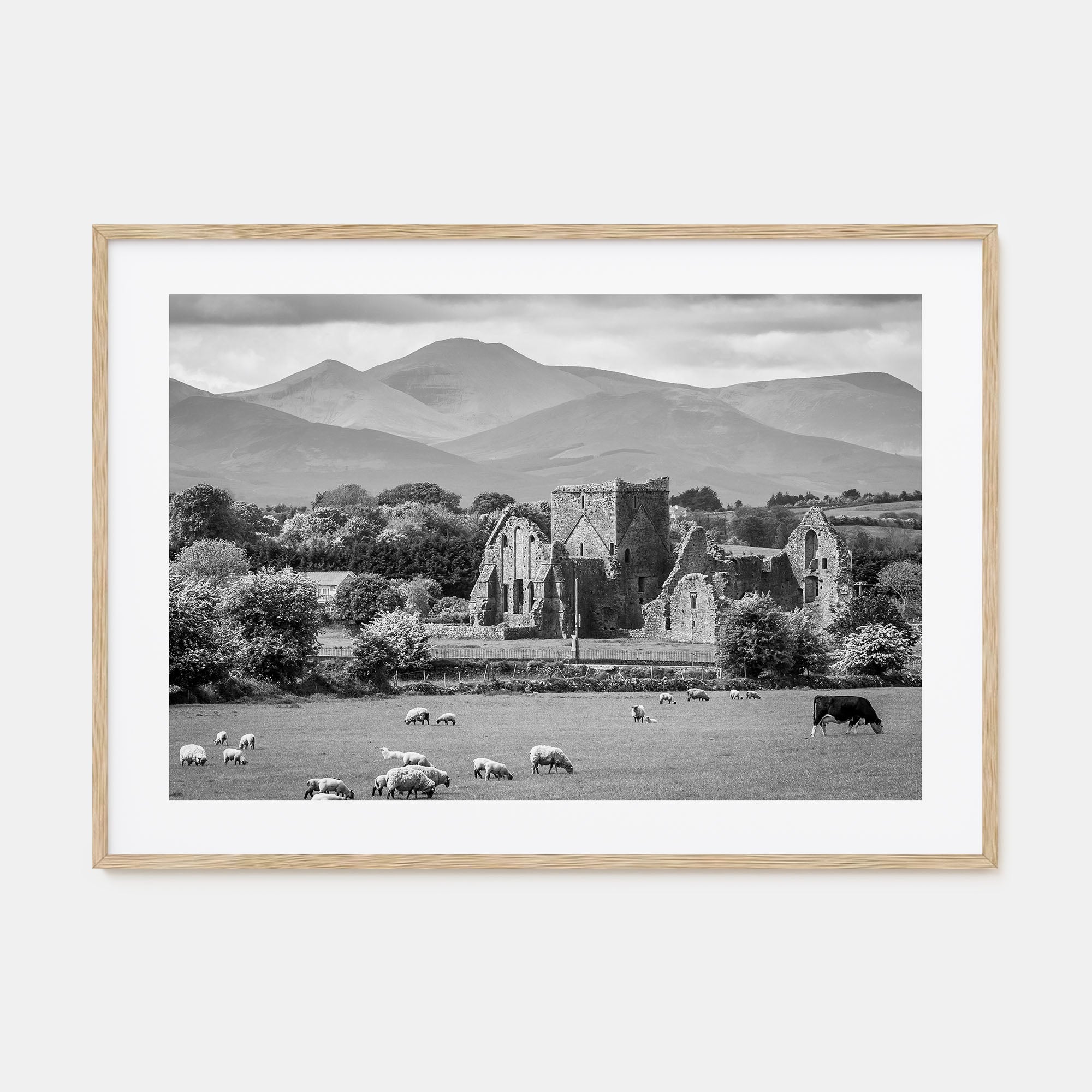 Ireland Landscape B&W Poster