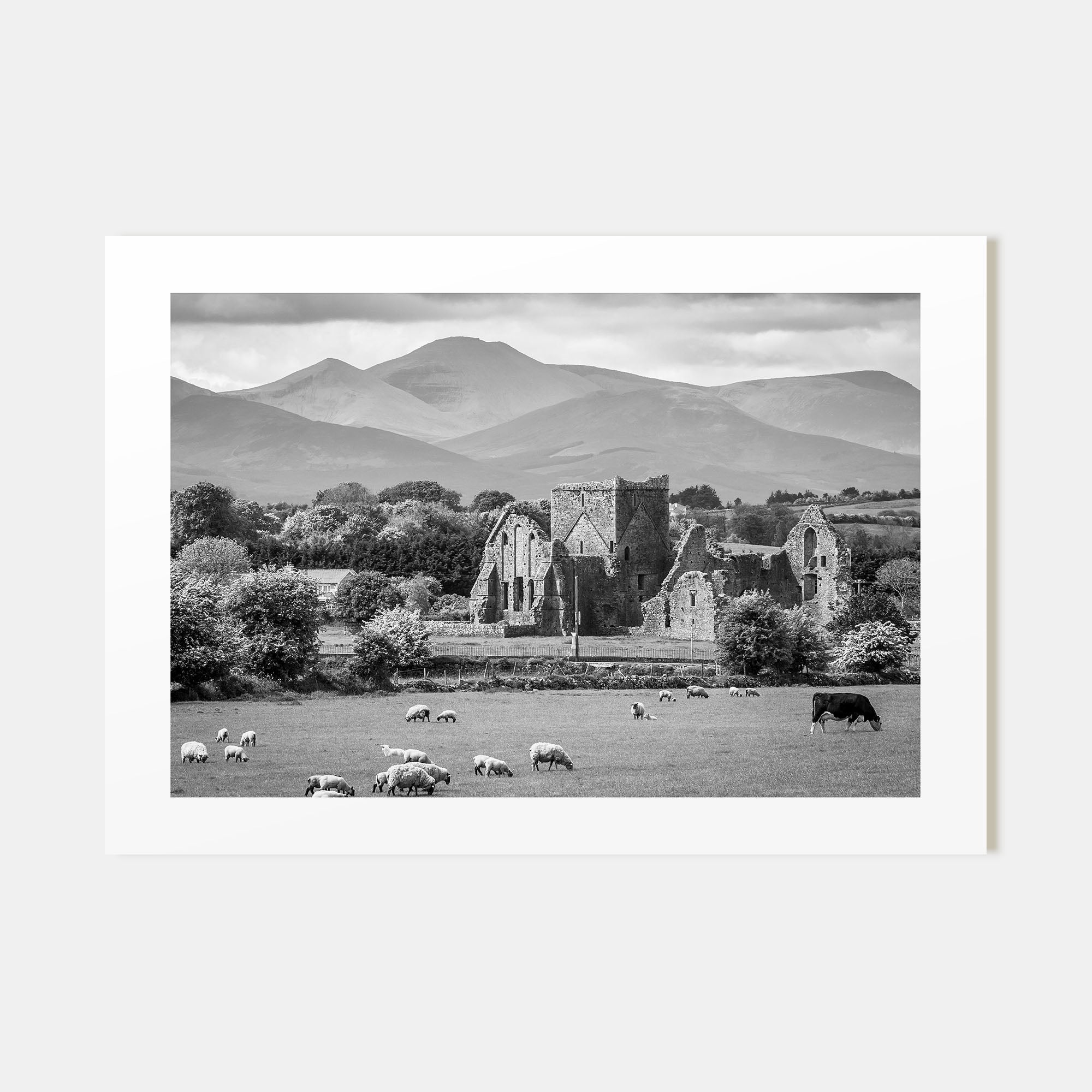 Ireland Landscape B&W Poster