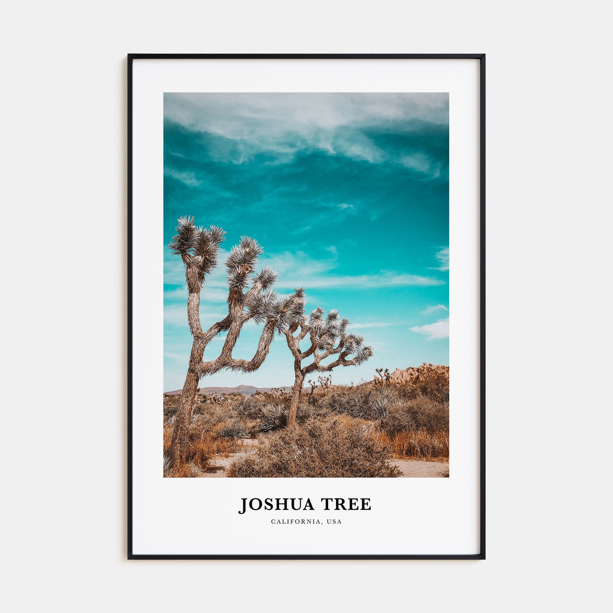 Joshua Tree National Park Portrait Color Poster