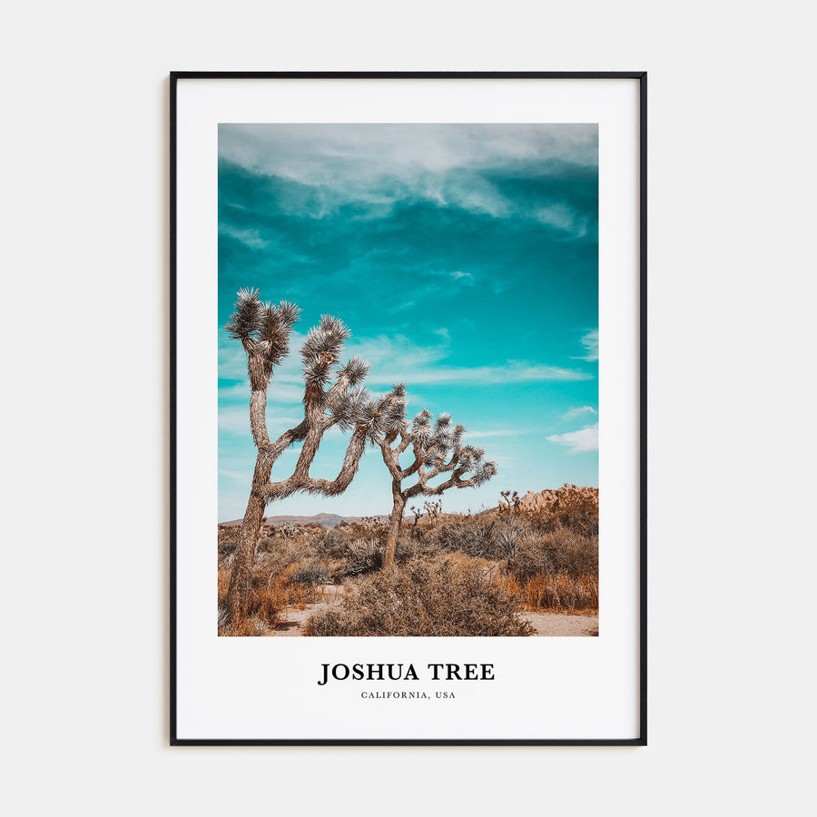 Joshua Tree National Park Portrait Color Poster