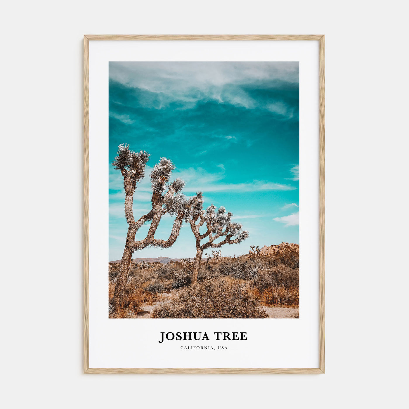 Joshua Tree National Park Portrait Color Poster